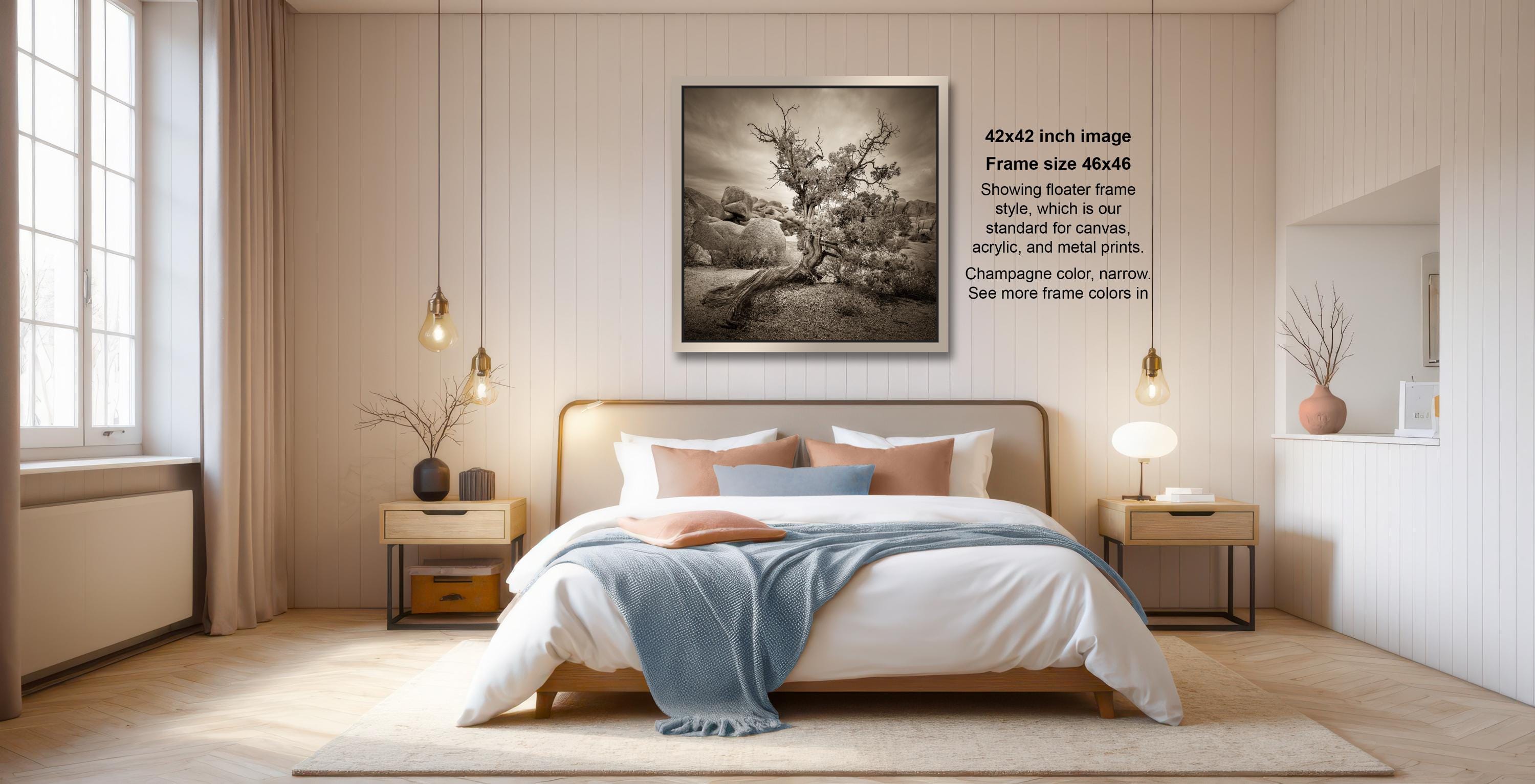 a serene bedroom scene with a large bed, wooden furniture, and a framed black and white photograph of a tree hanging on the wall.