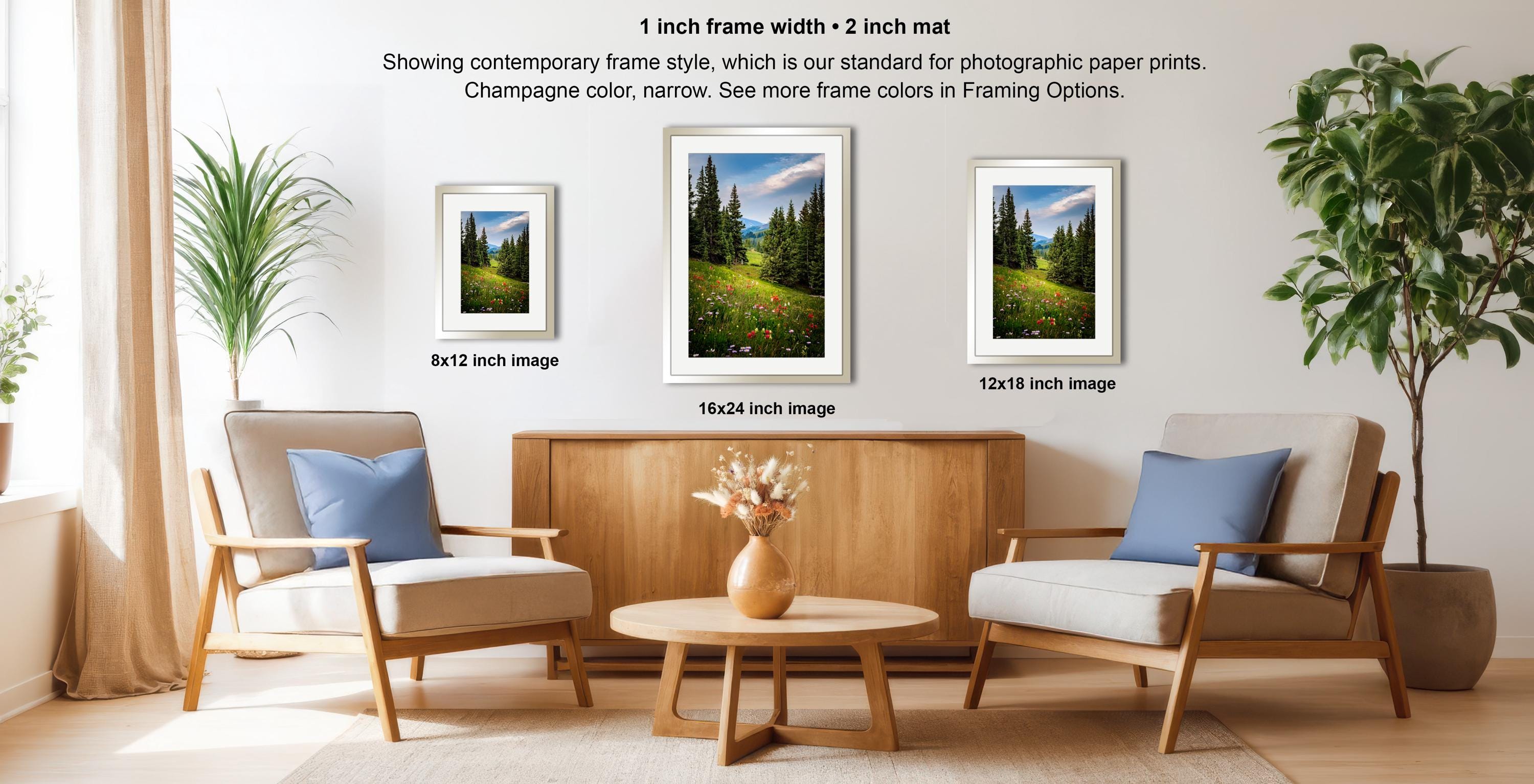 a living room with two chairs, a coffee table, and three framed landscape paintings hanging on the wall. The paintings are of varying sizes, with the largest one being 16x12 inches and the smallest one being 8x12 inches. The chairs are white with blue pillows, and the coffee table is made of wood. The overall setting appears to be a cozy and inviting space.