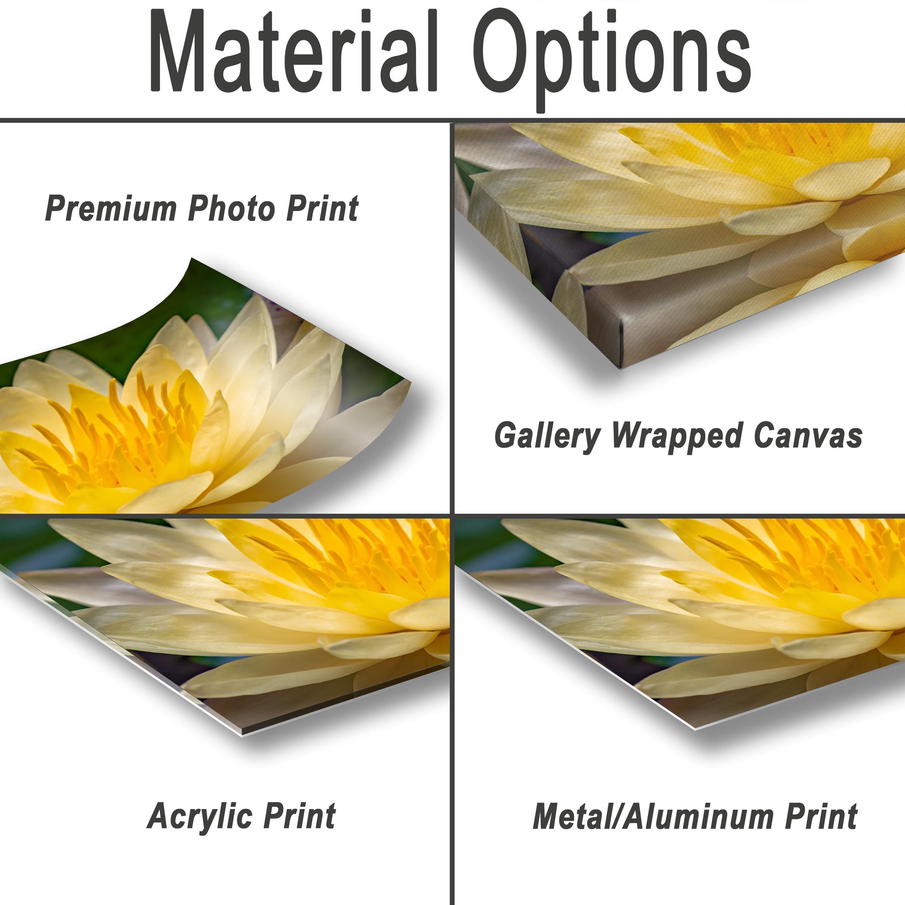 various types of printed materials, including a premium photo print, a gallery wrapped canvas, an acrylic print, and a metal/aluminum print.