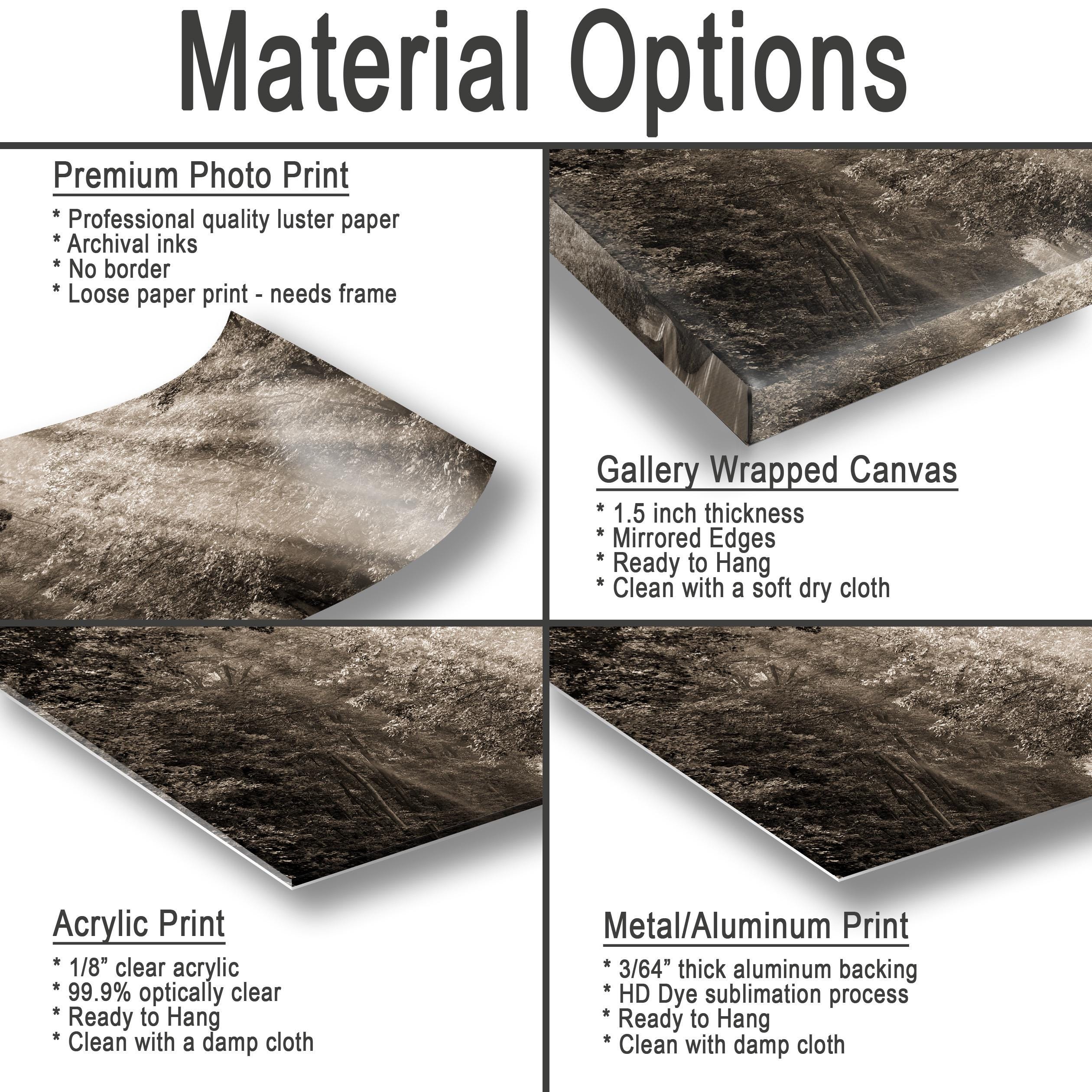 The image is a collage of four different types of photo prints, each with its own unique characteristics and uses.