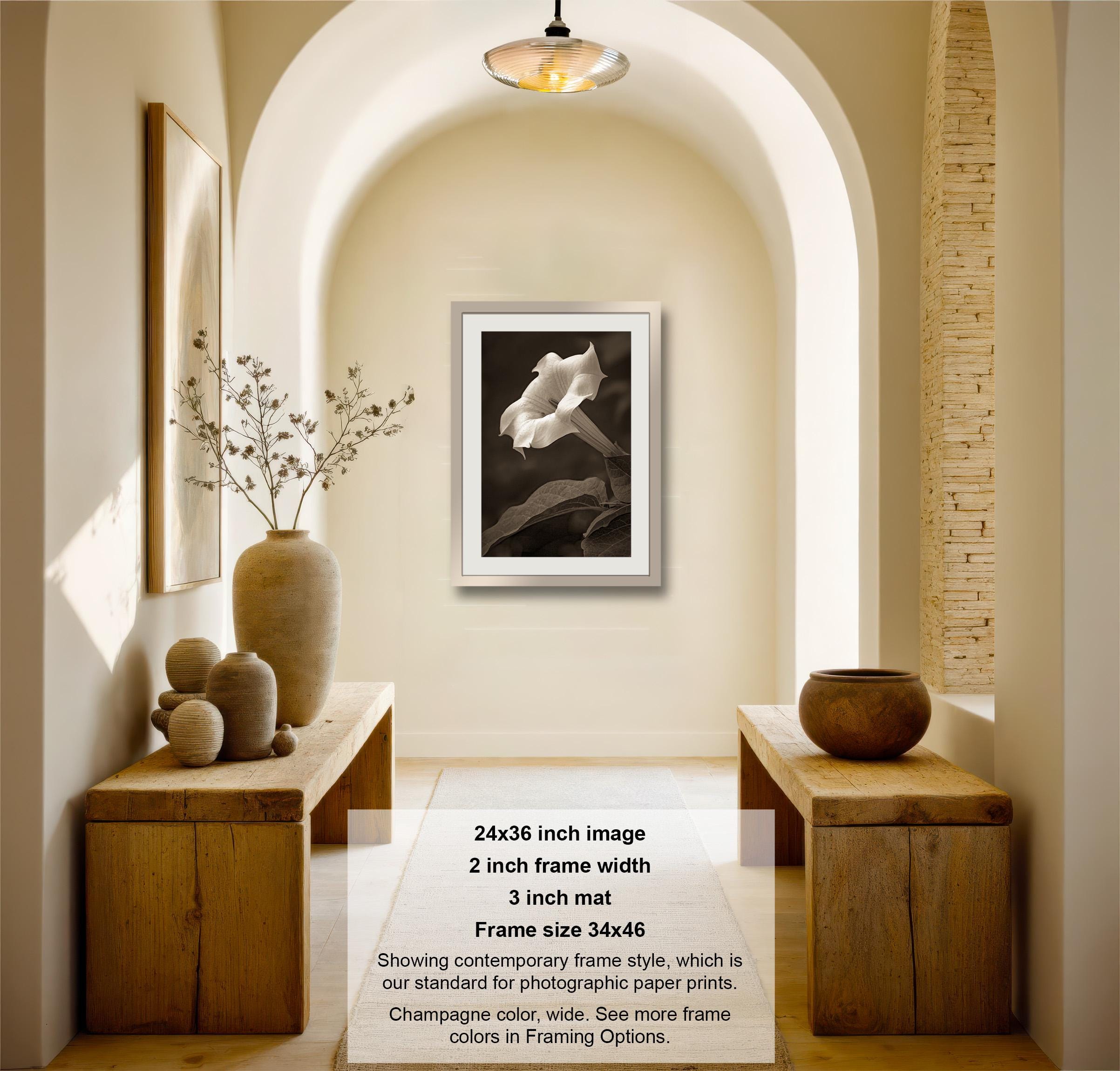 The image is a photograph of a hallway with a framed black and white image of a flower on the wall. The hallway has wooden benches and decorative vases, and the image is described as a 24x36 inch image with a 2-inch frame width and a 3-inch mat.