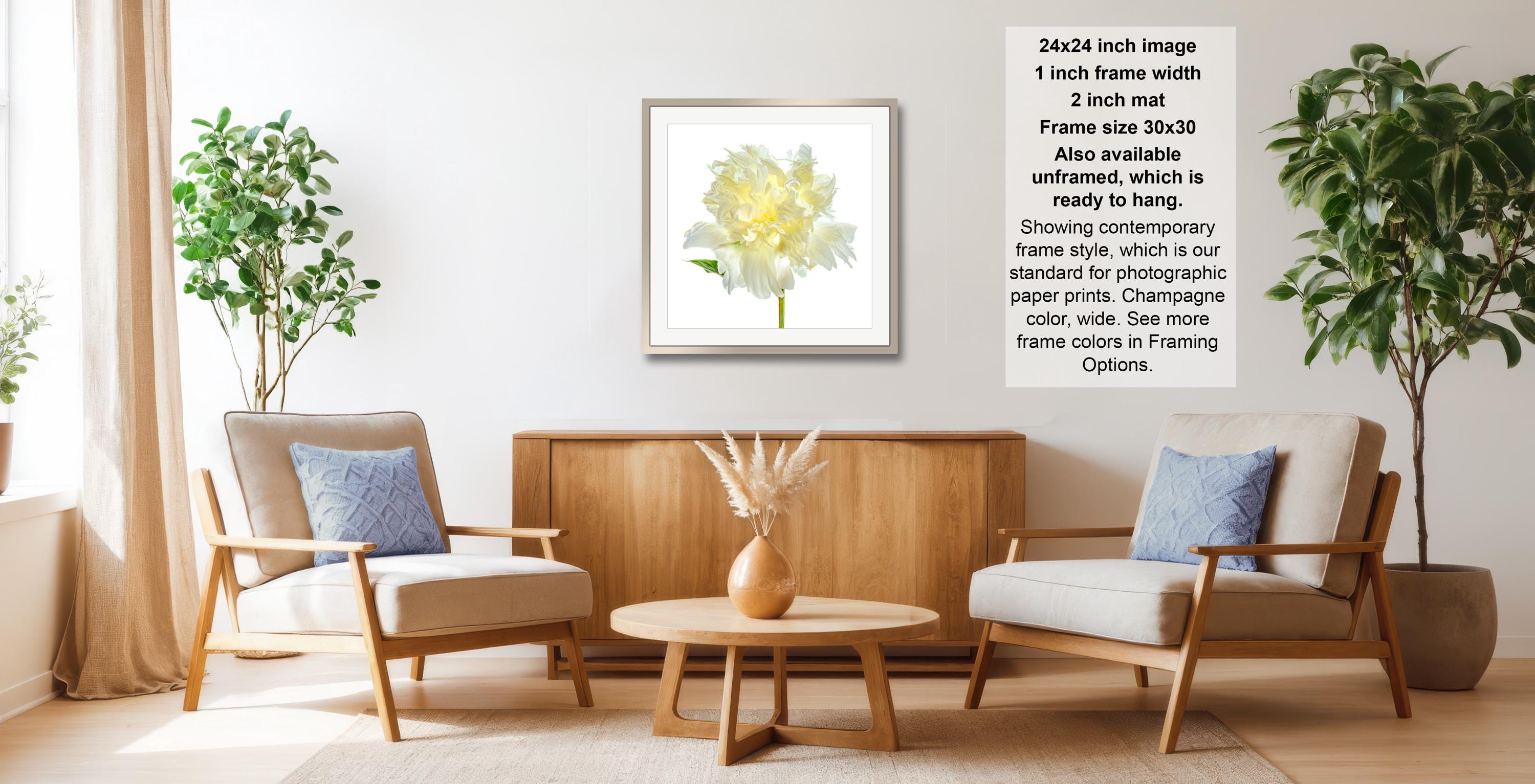 a cozy living room with two beige armchairs, a wooden coffee table, and a framed picture of a yellow flower on the wall.