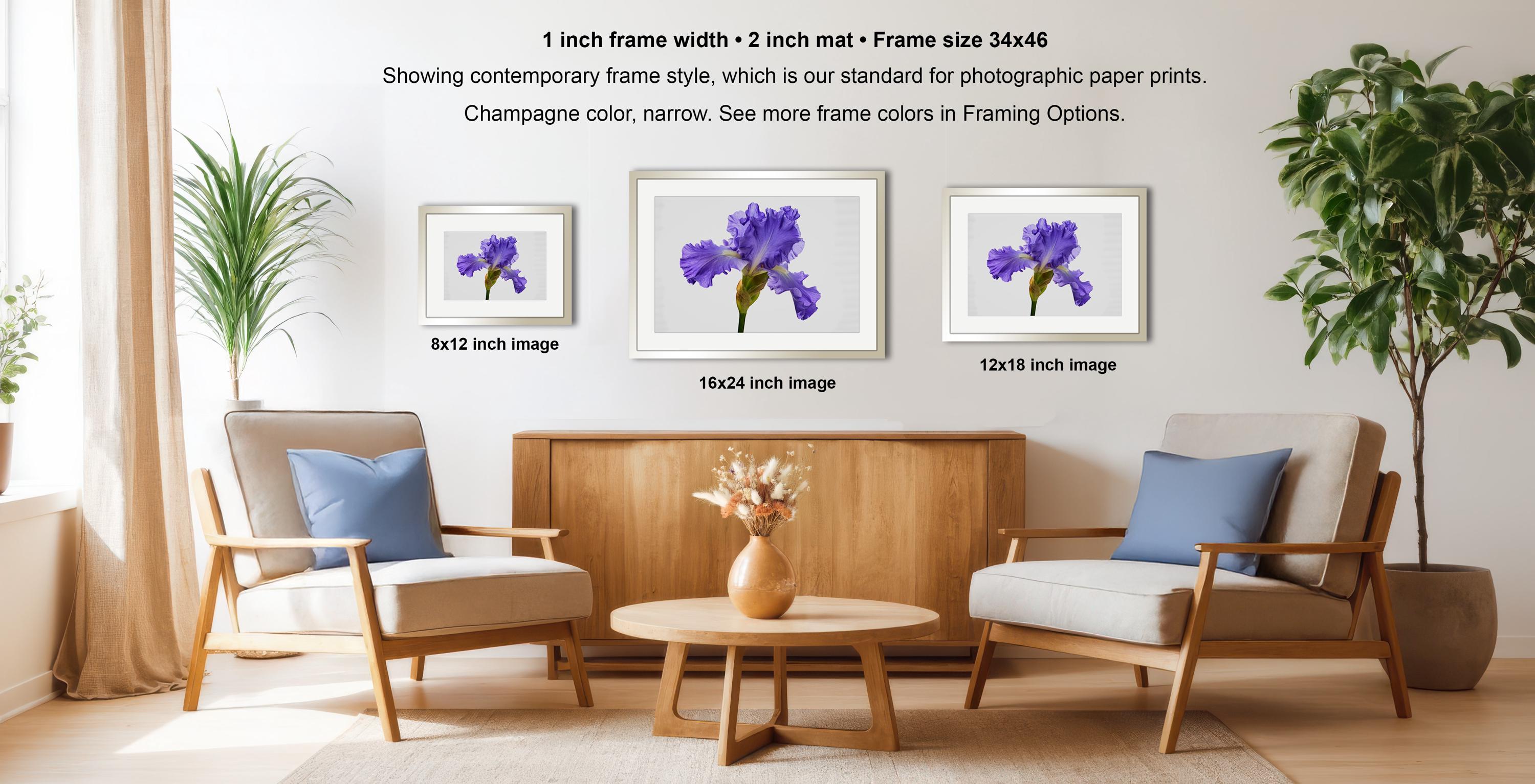 a modern living room with a wooden coffee table, two chairs, and three framed photographs of purple flowers on the wall.
