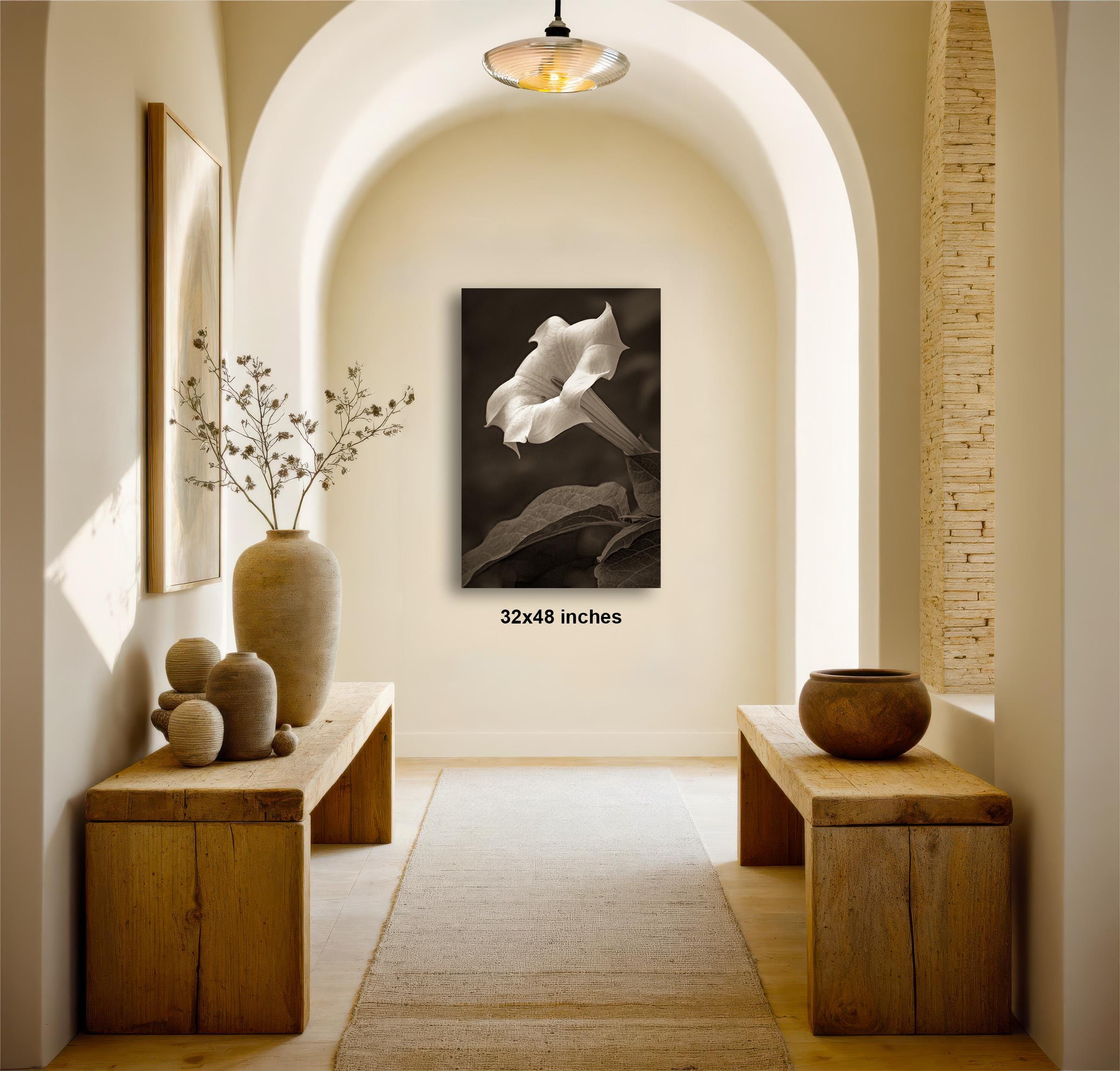 a hallway with a large black and white photograph of a flower hanging on the wall. The hallway is lined with wooden benches and tables, and there are decorative vases and other items on display. The photograph is approximately 32x48 inches in size.