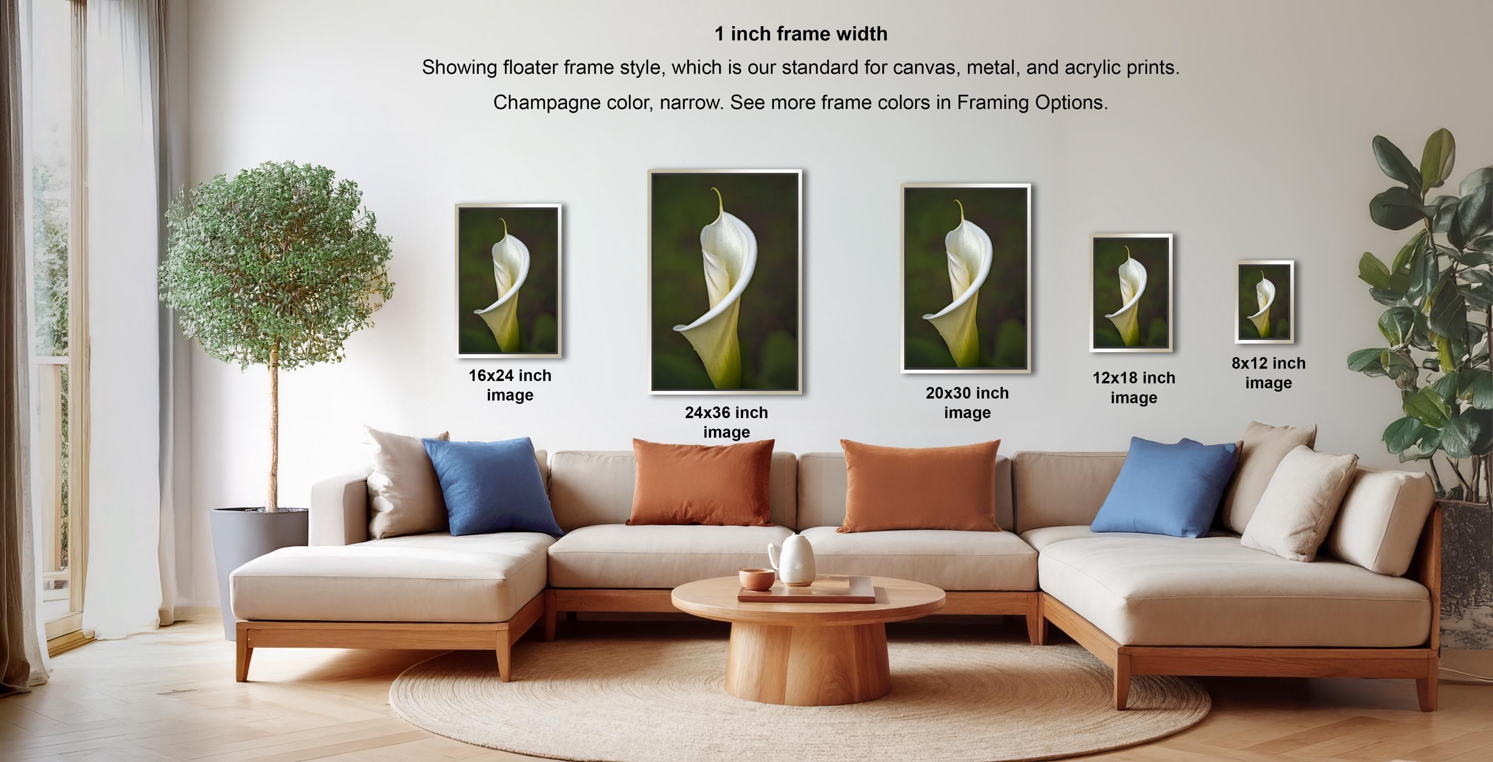 a living room with a large sectional sofa, a coffee table, and a potted plant. There are four framed prints of a white lily flower displayed on the wall, each with a different frame size ranging from 16.24 to 12.18 inches.