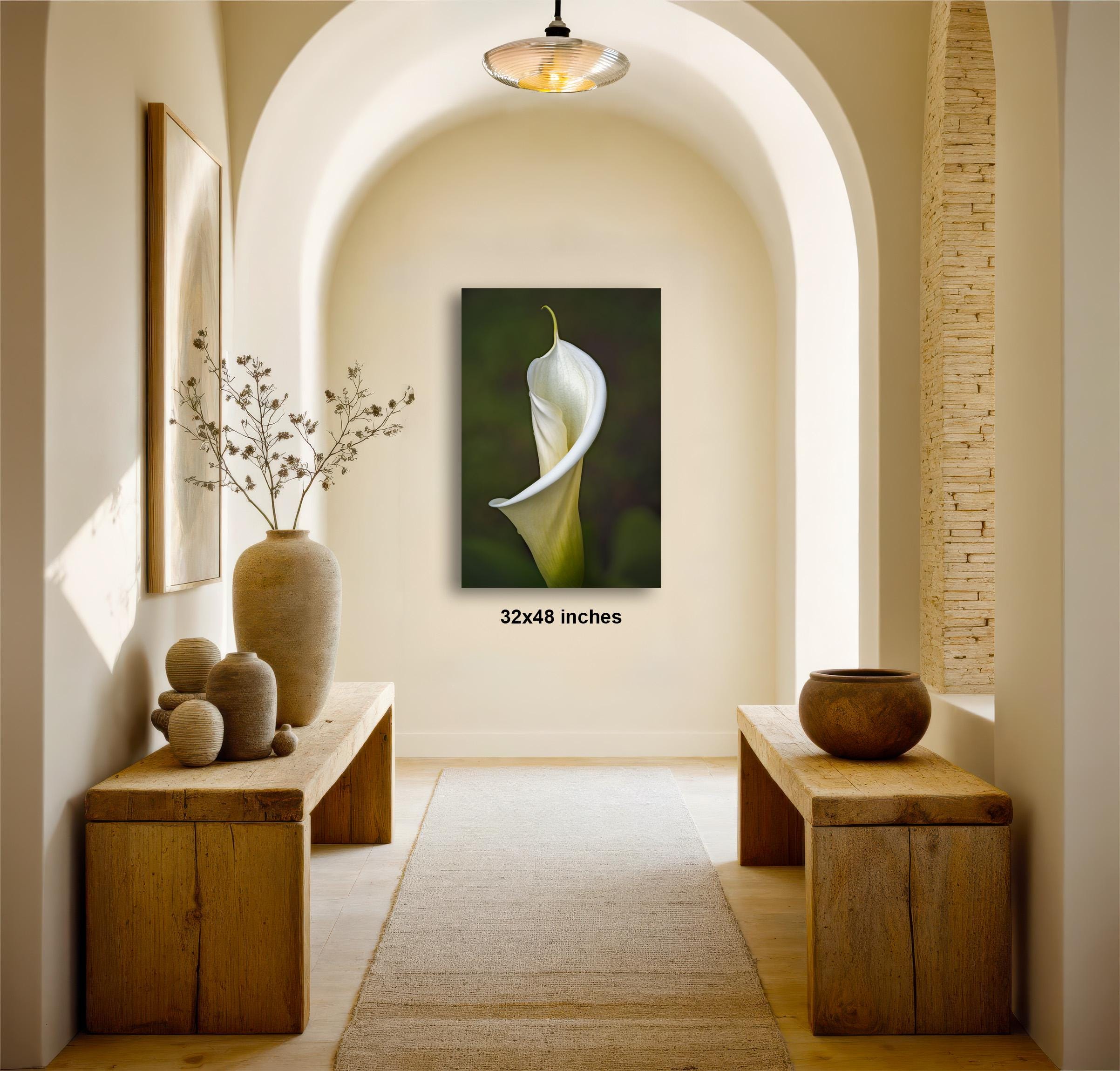 a serene and elegant hallway with a large white flower in the center, flanked by two wooden benches and a wooden table. The walls are painted white, and the floor is covered with a rug. A large painting of a white flower is hanging on the wall, adding a touch of natural beauty to the space.