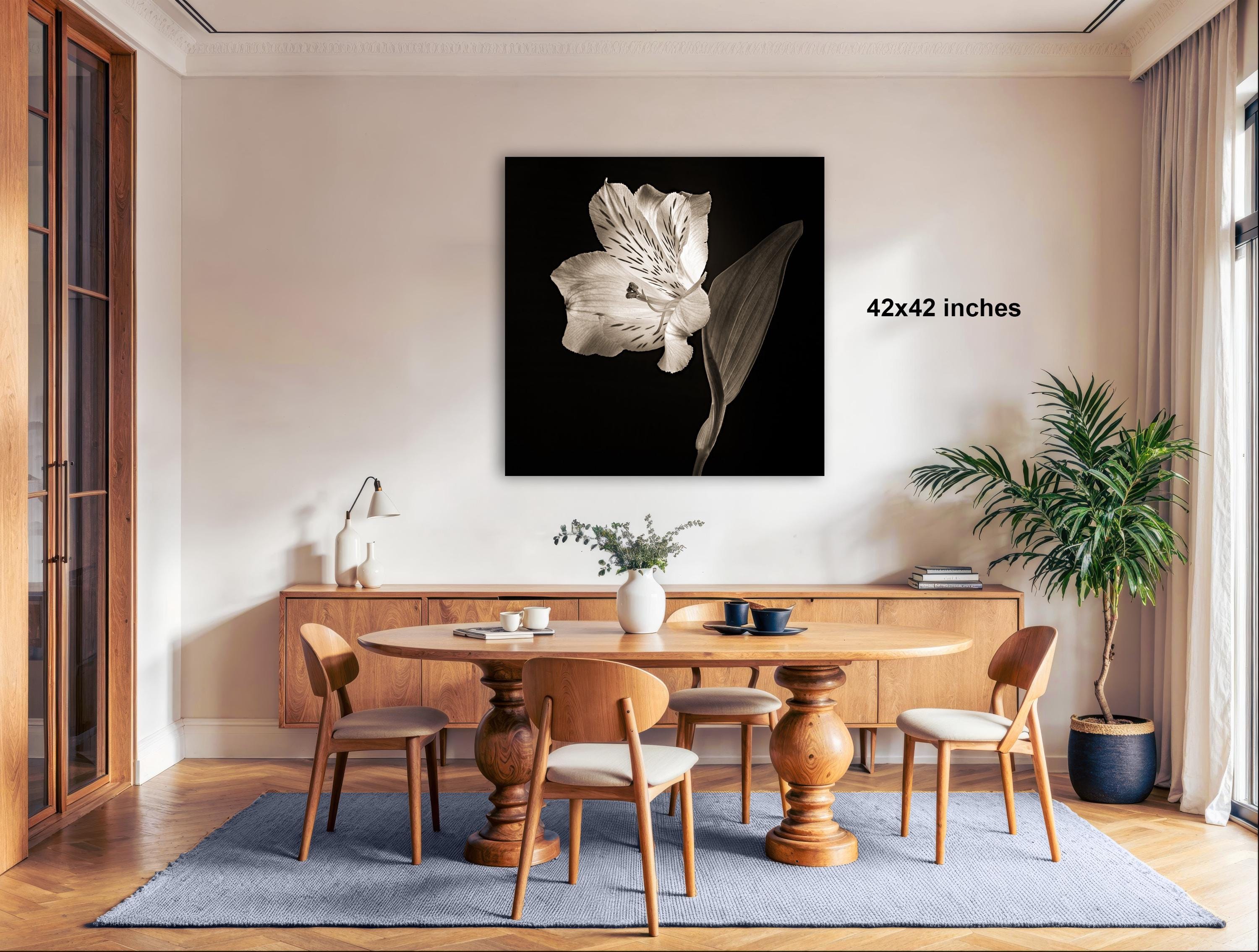 a modern dining room with a large black and white photograph of a flower on the wall, a wooden table surrounded by chairs, and various decorative elements such as a potted plant and a vase.