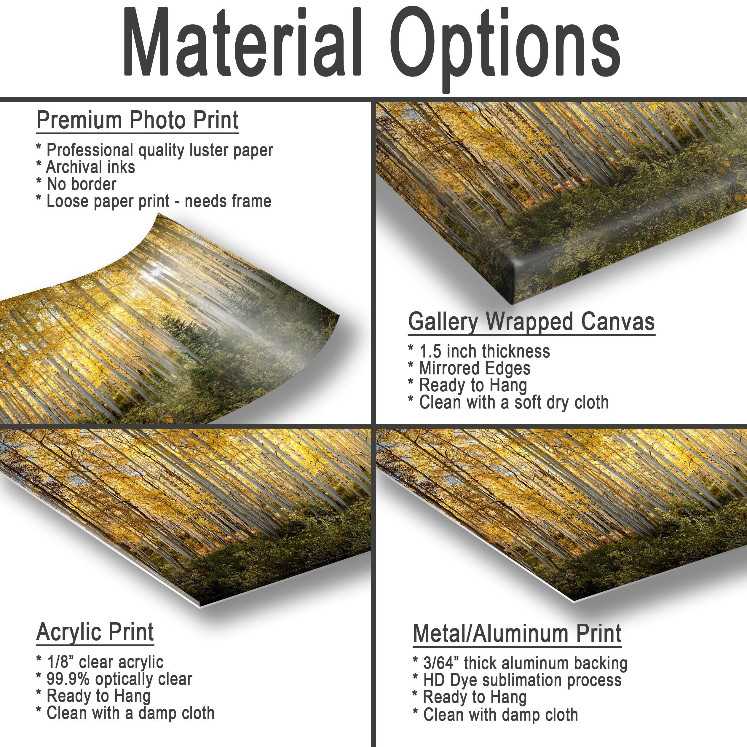 Material Options