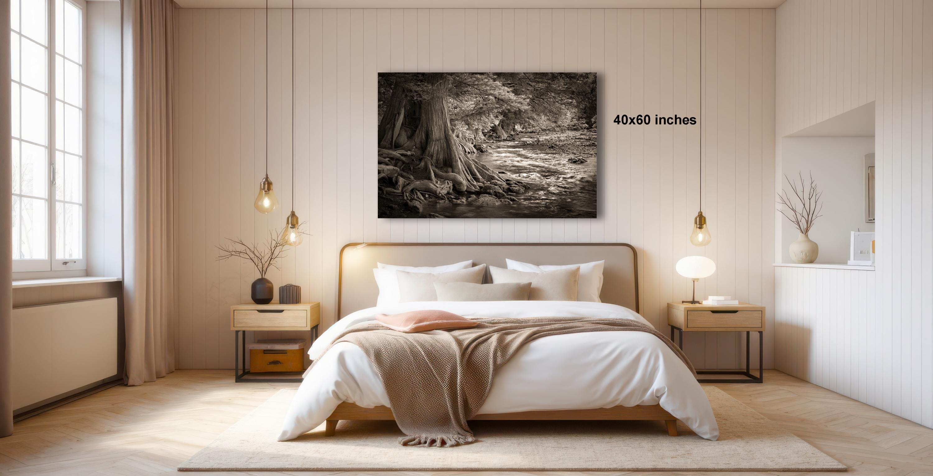 a serene bedroom with a large bed, wooden furniture, and a black and white photograph of a forest scene hanging on the wall.