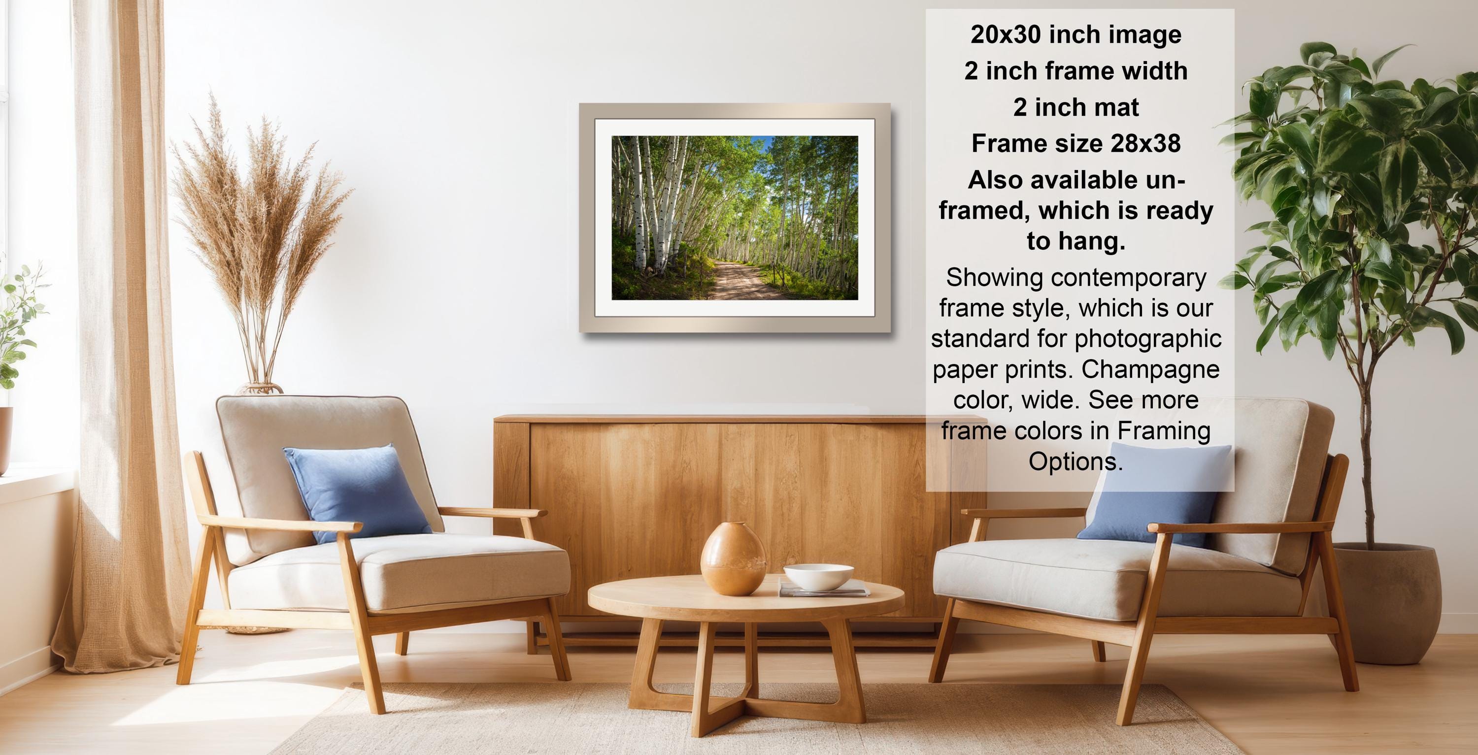 The image is a living room with two chairs, a coffee table, and a framed picture of a forest. The picture is framed in a modern style and hangs on the wall.