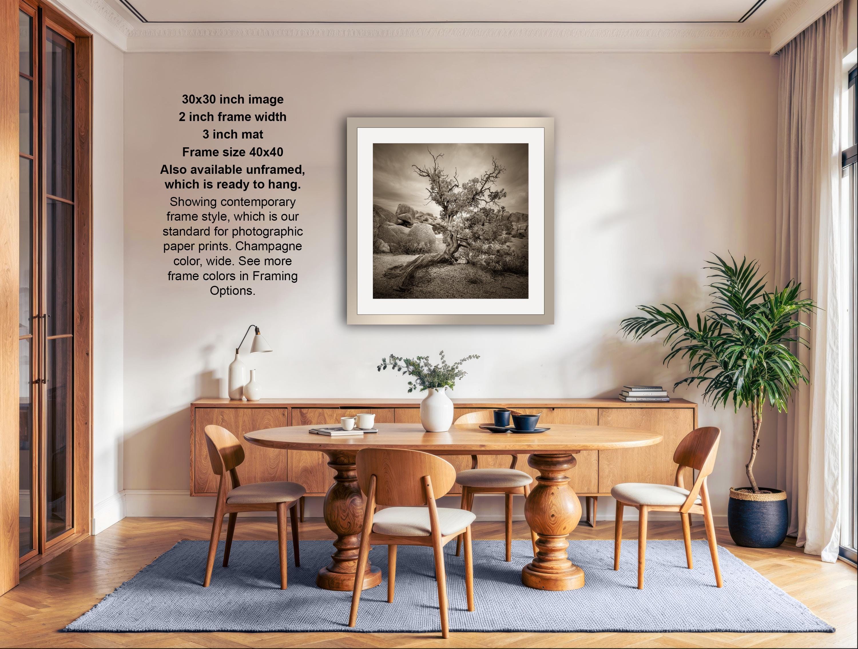 The image is a modern dining room with a wooden table and chairs, a potted plant, and a framed black and white photograph of a tree on the wall.