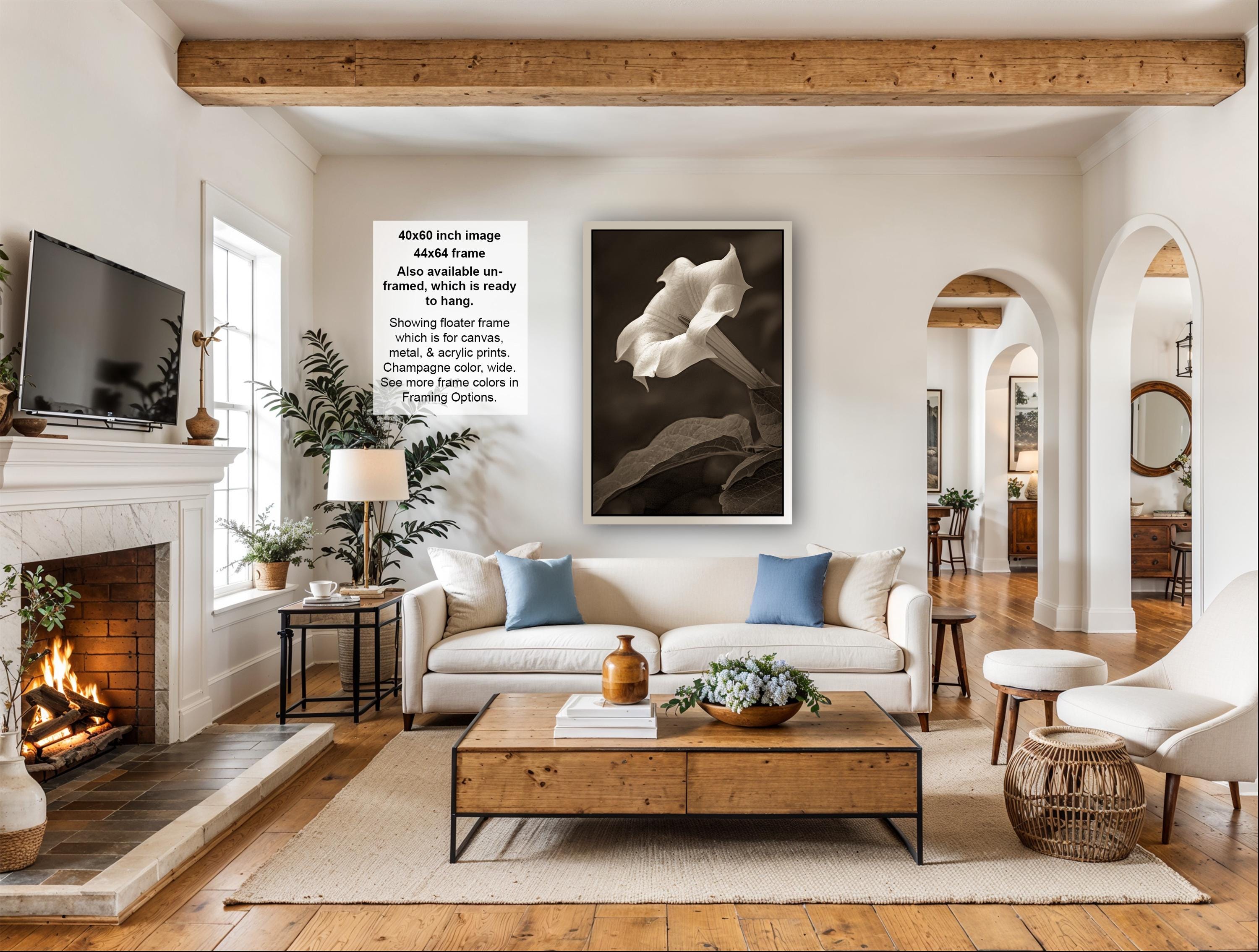 a cozy living room with a fireplace, a large framed black and white photograph of a flower, a white sofa, a wooden coffee table, and various decorative elements such as potted plants and vases.