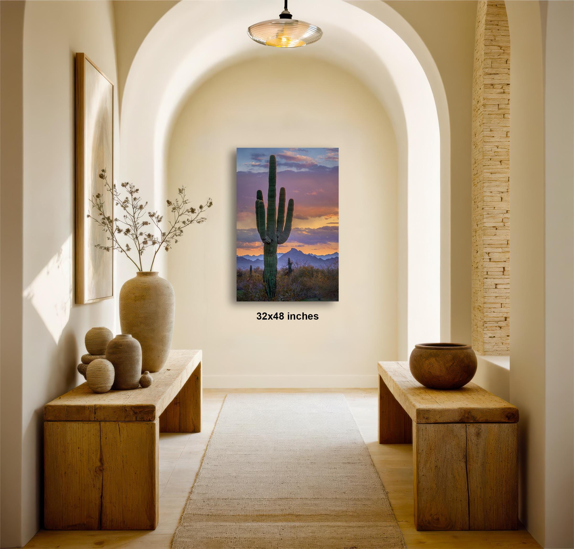 a desert-themed room with a large cactus painting hanging on the wall, a wooden bench on the left side, and a wooden table on the right side. The room has a warm, inviting atmosphere with natural elements and a sense of tranquility.