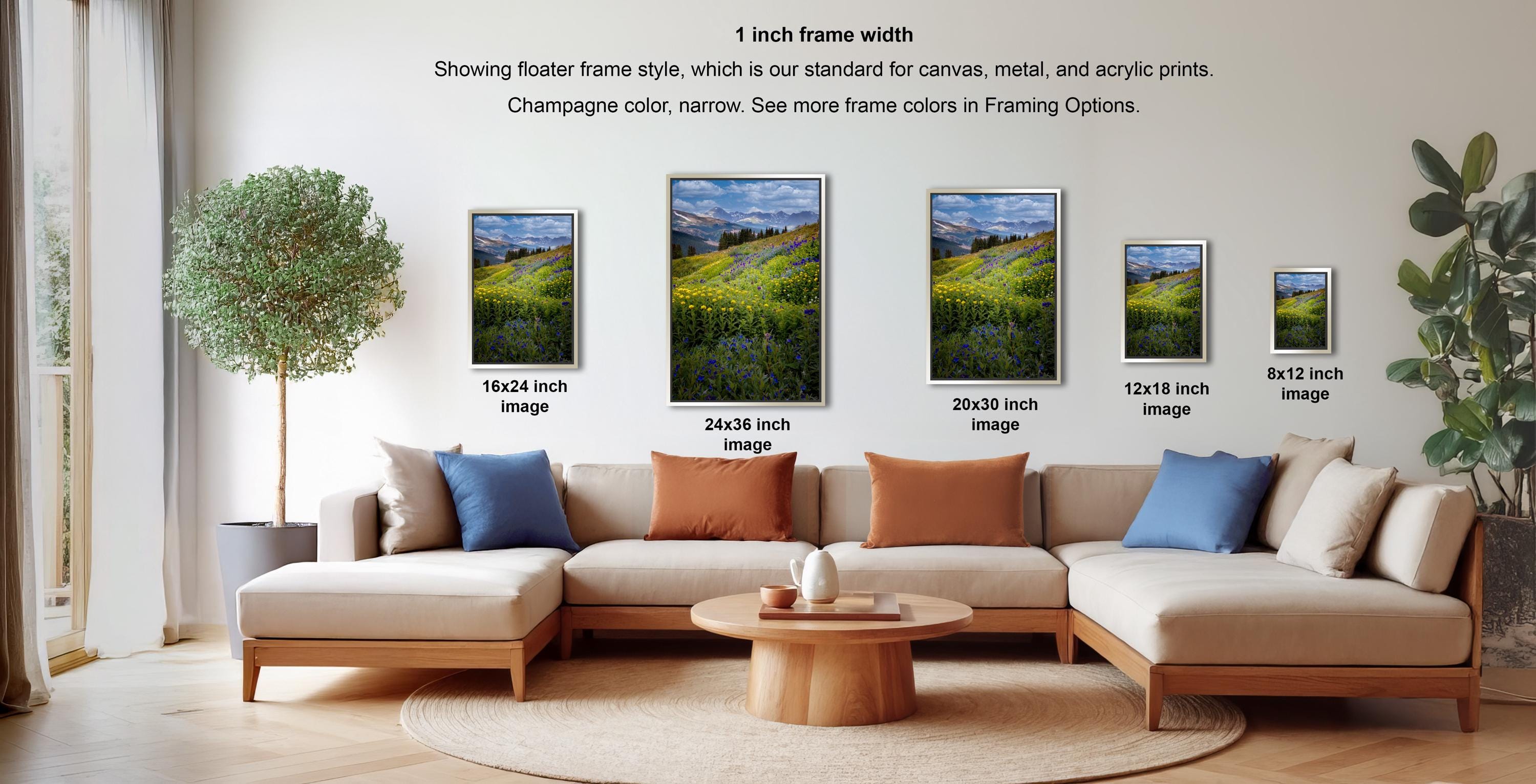 a living room with a large sectional sofa and a coffee table. There are four framed landscape paintings displayed on the wall, each with a different frame size ranging from 16.24 to 12.18 inches. The paintings depict various scenes, including a field of flowers and a mountainous landscape. The room also features a potted plant and a vase, adding to the overall decor.