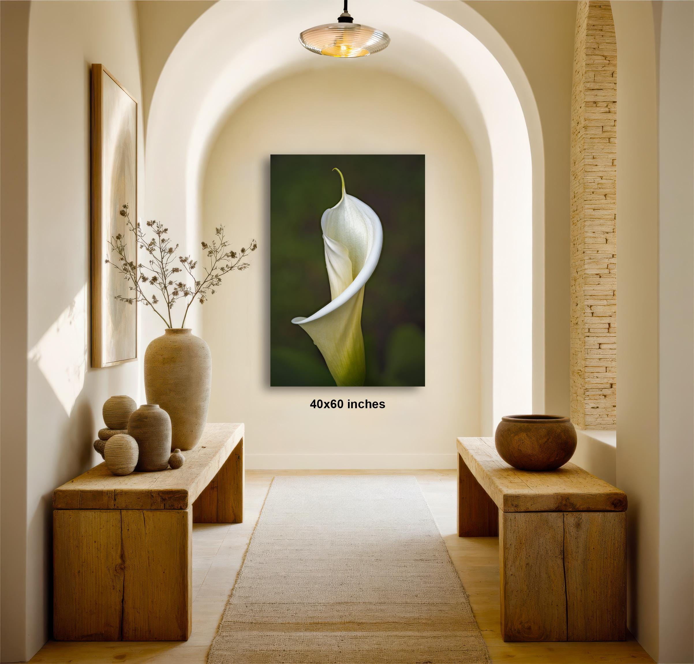 a serene and elegant hallway with a large framed photograph of a white lily on the wall, flanked by two wooden benches and a vase of flowers.