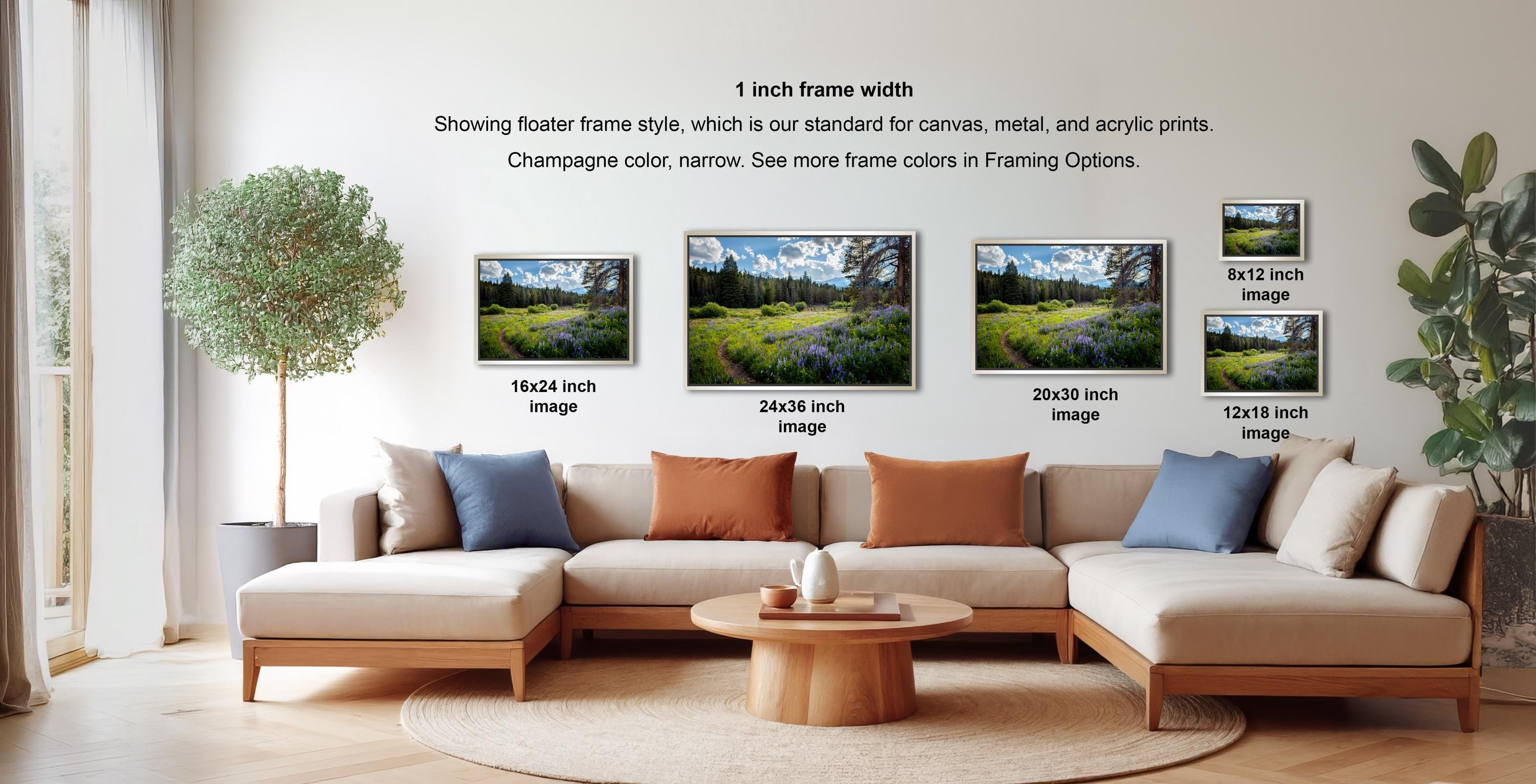 a living room with a large sectional sofa, a coffee table, and a potted plant. There are three framed landscape photographs displayed on the wall, each with a different frame size ranging from 16.26 to 20.30 inches. The text on the wall indicates that the frame width is 1 inch, and the photographs are showing the standard frame style for canvas, metal, and acrylic prints.