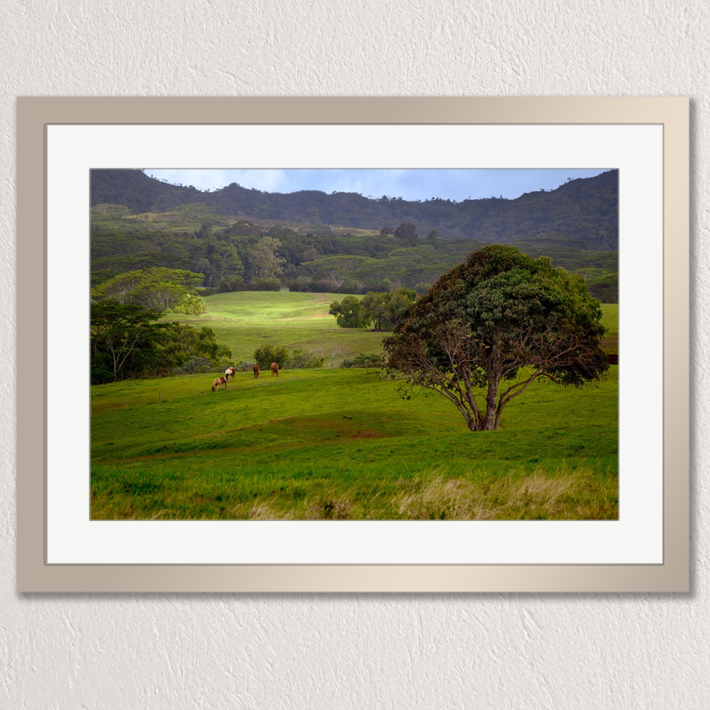 A pastoral scene with a large tree in the foreground, a group of horses grazing in the distance, and rolling hills in the background.