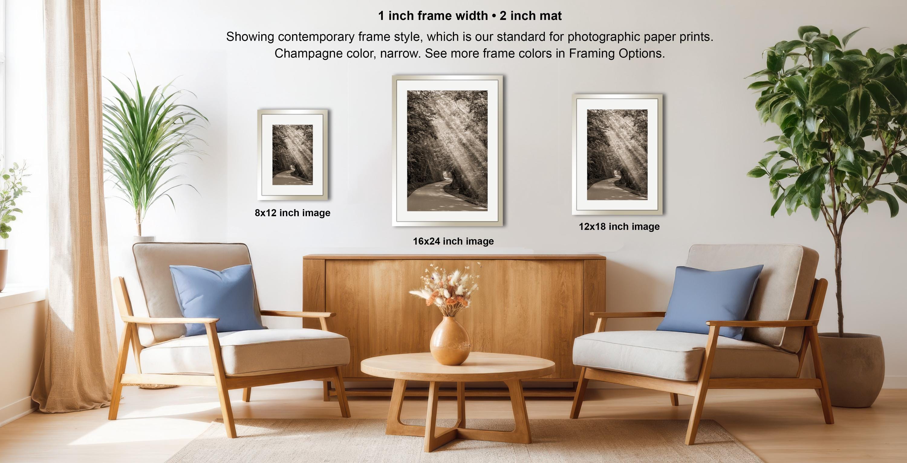 a modern living room with a wooden coffee table, two armchairs, and a potted plant. There are three framed black and white photographs hanging on the wall, each with a different frame size.