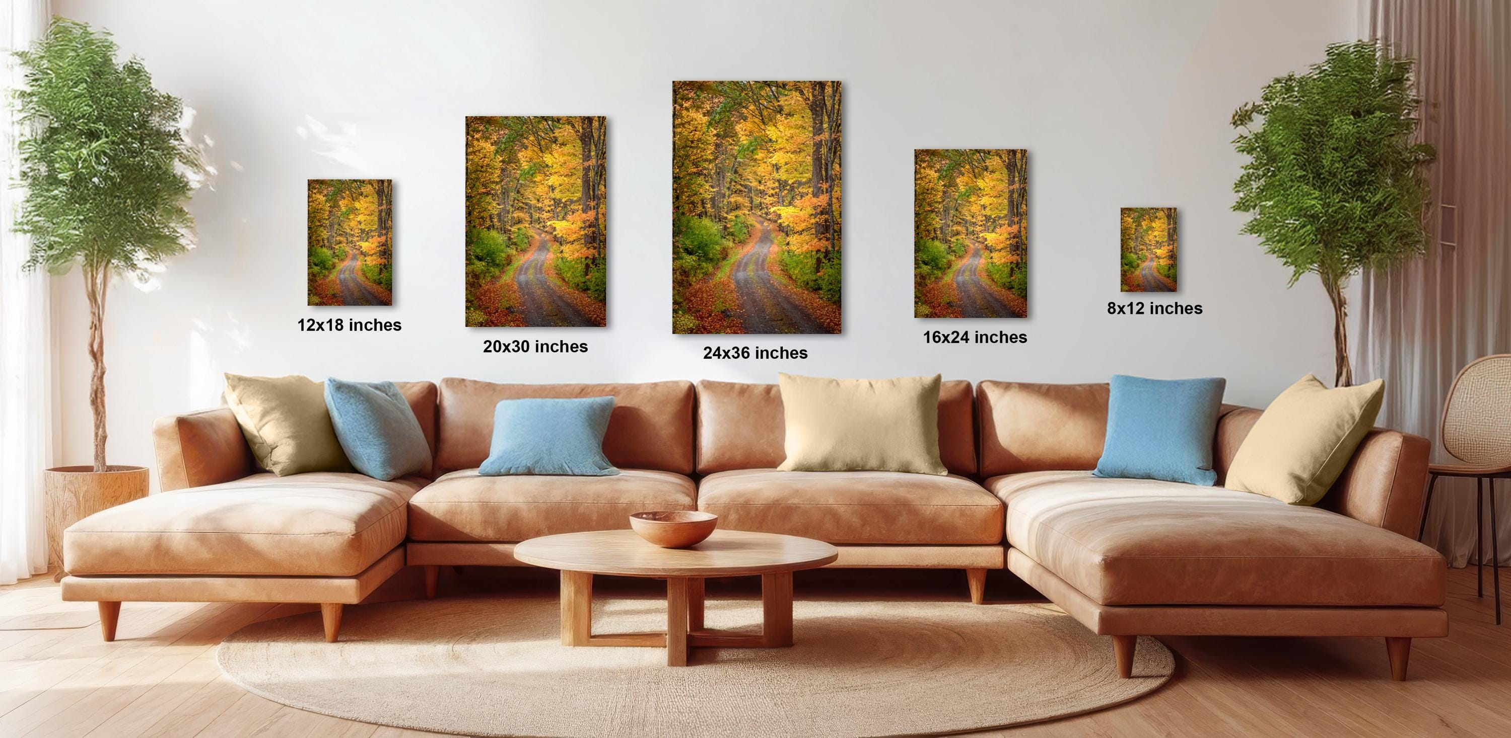 a living room with a large sectional sofa, a coffee table, and several framed photographs of a forest path displayed on the wall.