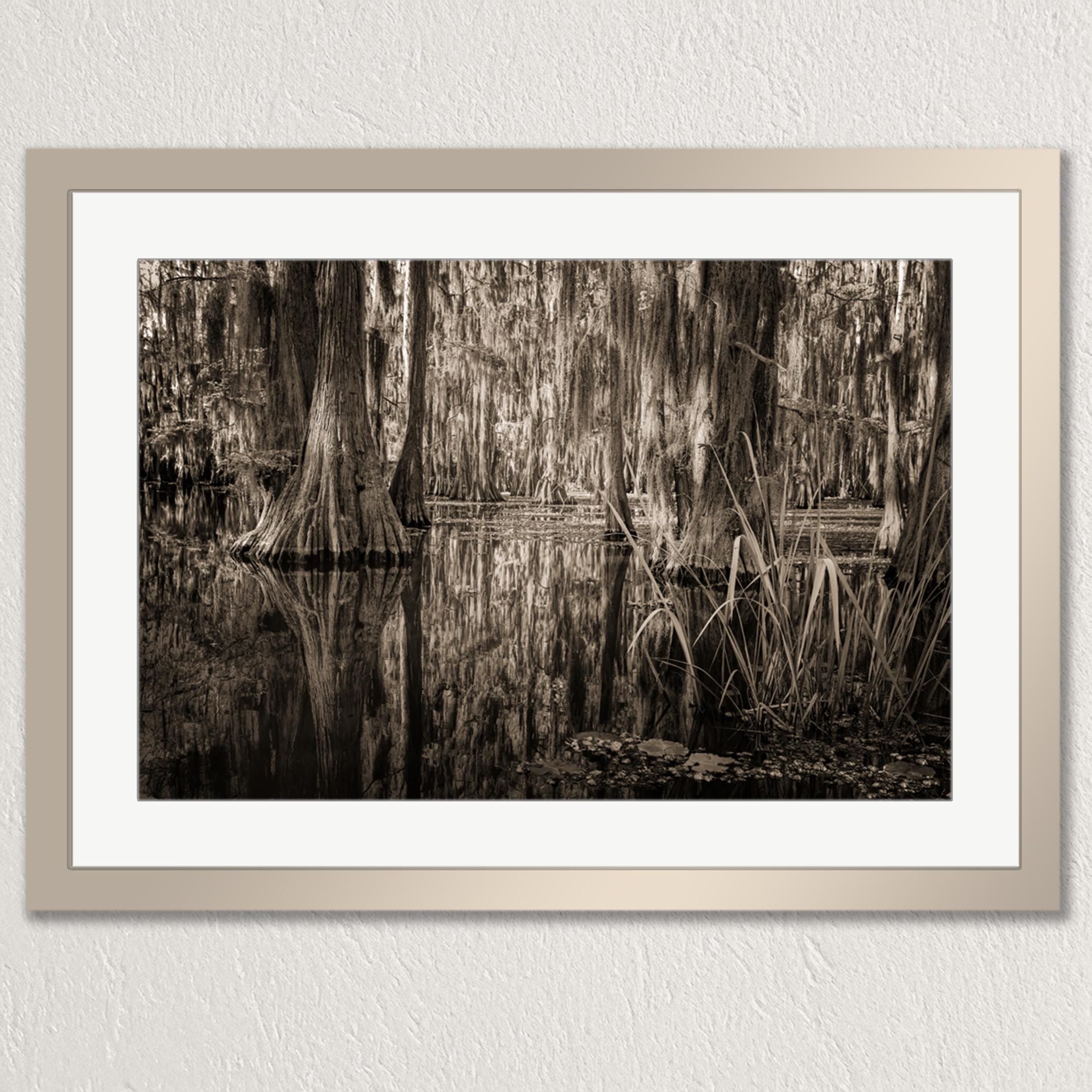 A black and white photograph of a serene forest scene, with tall trees and a calm body of water reflecting their trunks and branches.