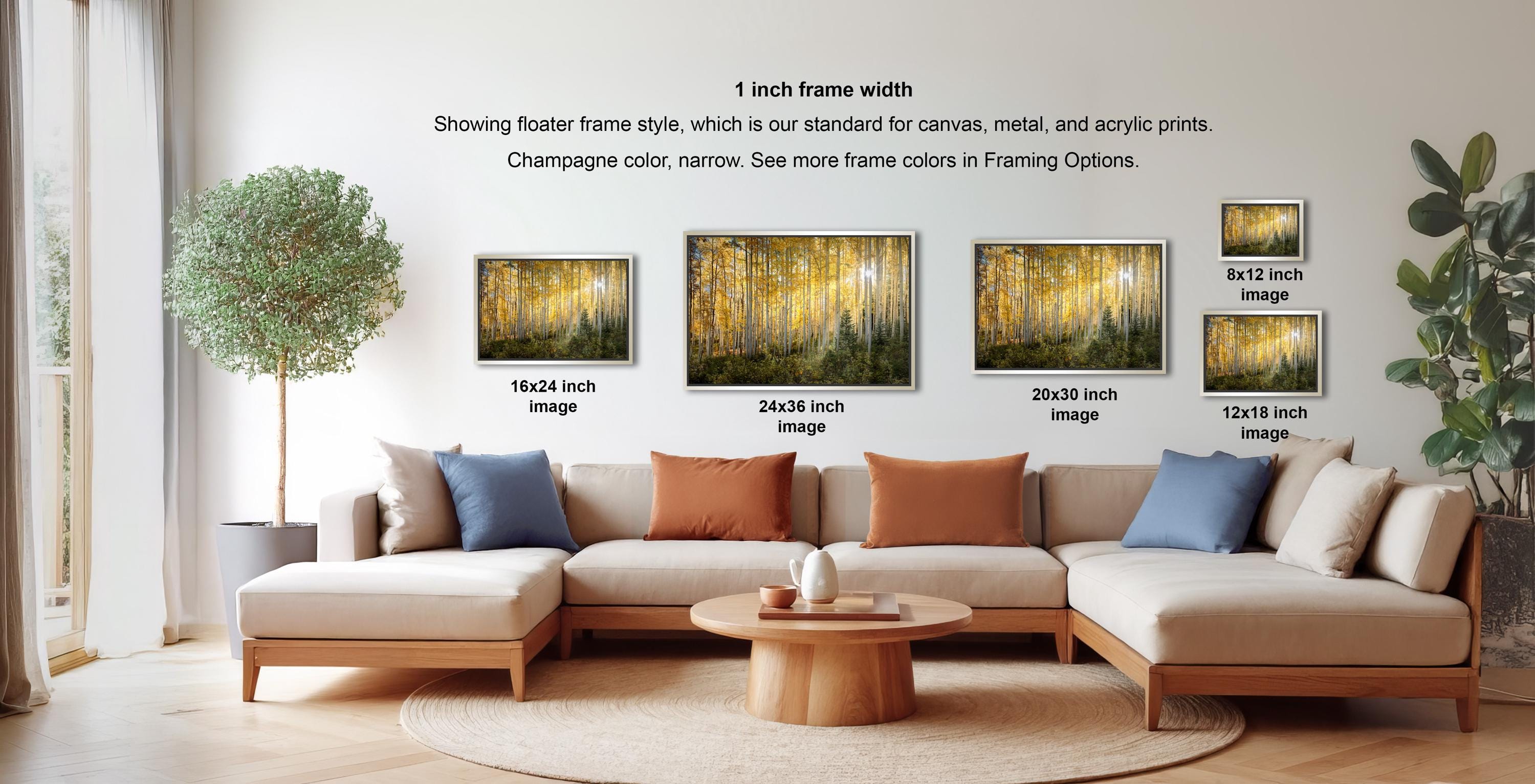 a living room with a large sectional sofa, a coffee table, and a potted plant. There are four framed landscape paintings displayed on the wall, each with a different frame size ranging from 16" to 20" inches. The paintings depict various scenes, including a forest, a beach, and a mountain landscape. The arrangement of the paintings and the overall layout of the room create a cozy and inviting atmosphere.
