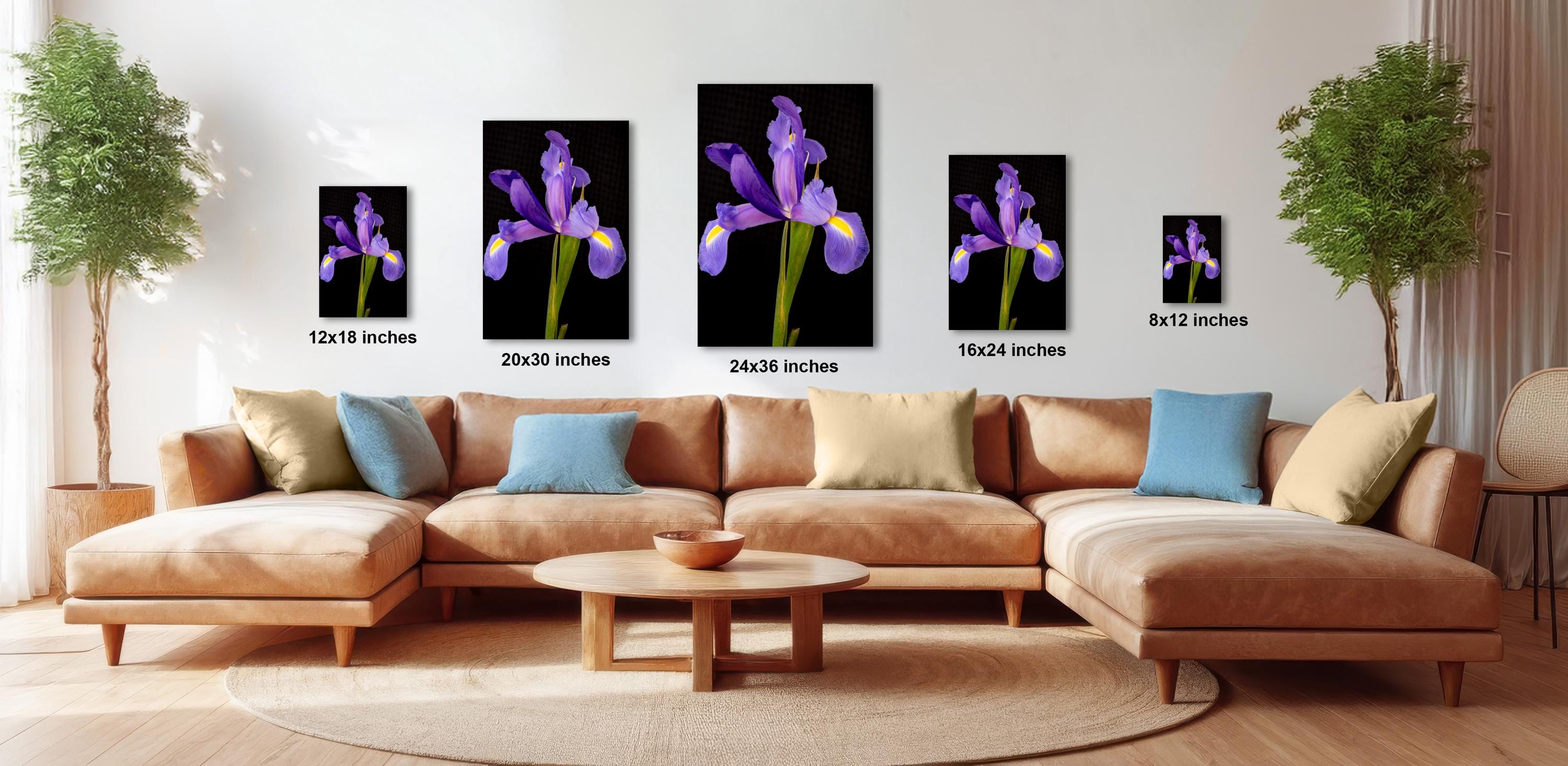 The image is a modern living room with a large sectional sofa, a coffee table, and several potted plants. The sofa is positioned in front of a wall with four framed images of purple irises, each with a different size and resolution. The images are arranged in a grid-like pattern, with the largest image at the top and the smallest at the bottom. The room has a clean and minimalist aesthetic, with the brown leather sofa and wooden coffee table complementing the overall design.