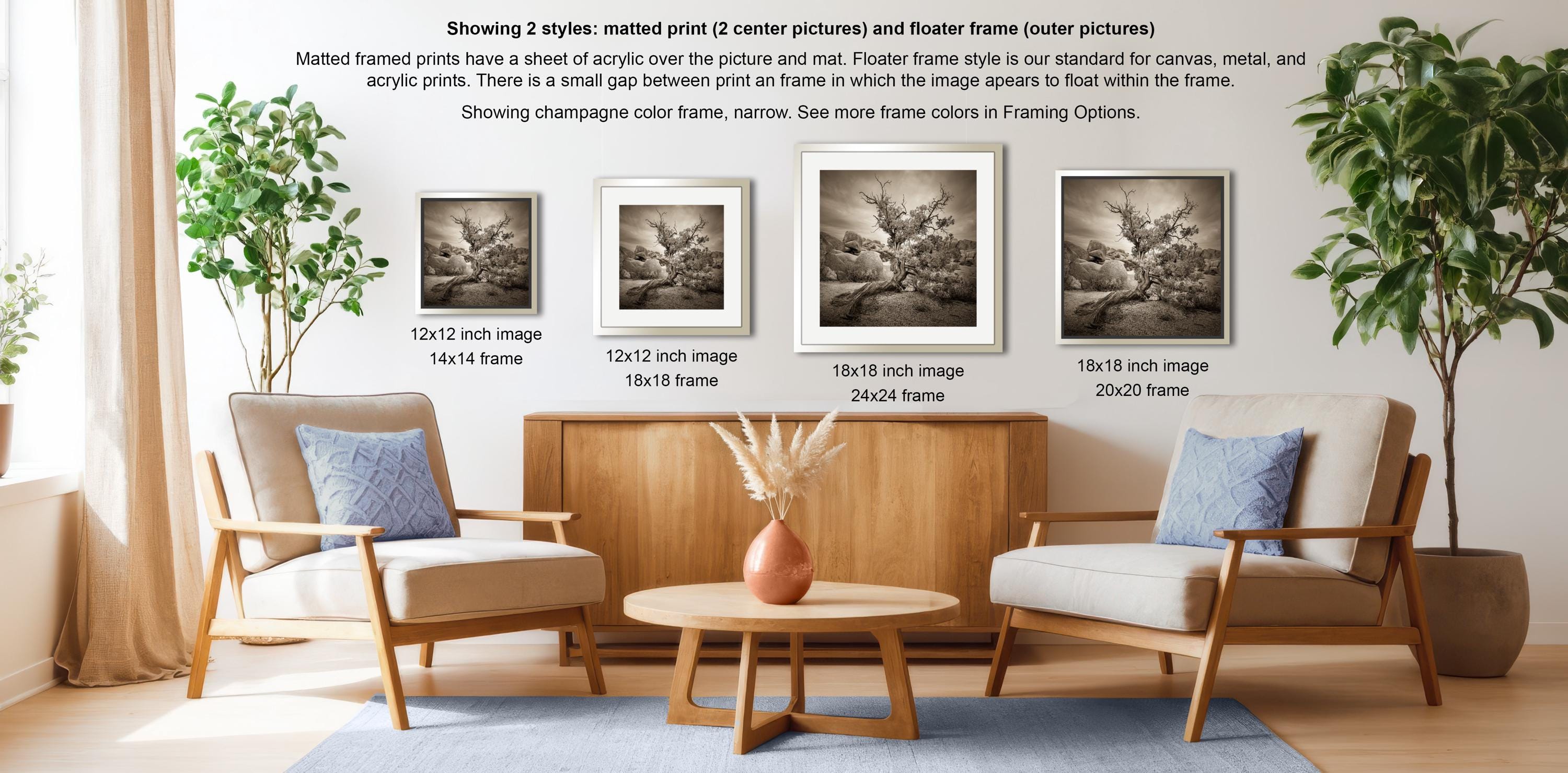 a living room with two armchairs and a coffee table, along with a wooden cabinet and a vase of flowers. There are three framed pictures displayed on the wall, each with a different frame size and style. The text provides information about the framed pictures, including their sizes and the type of frame they are displayed in.