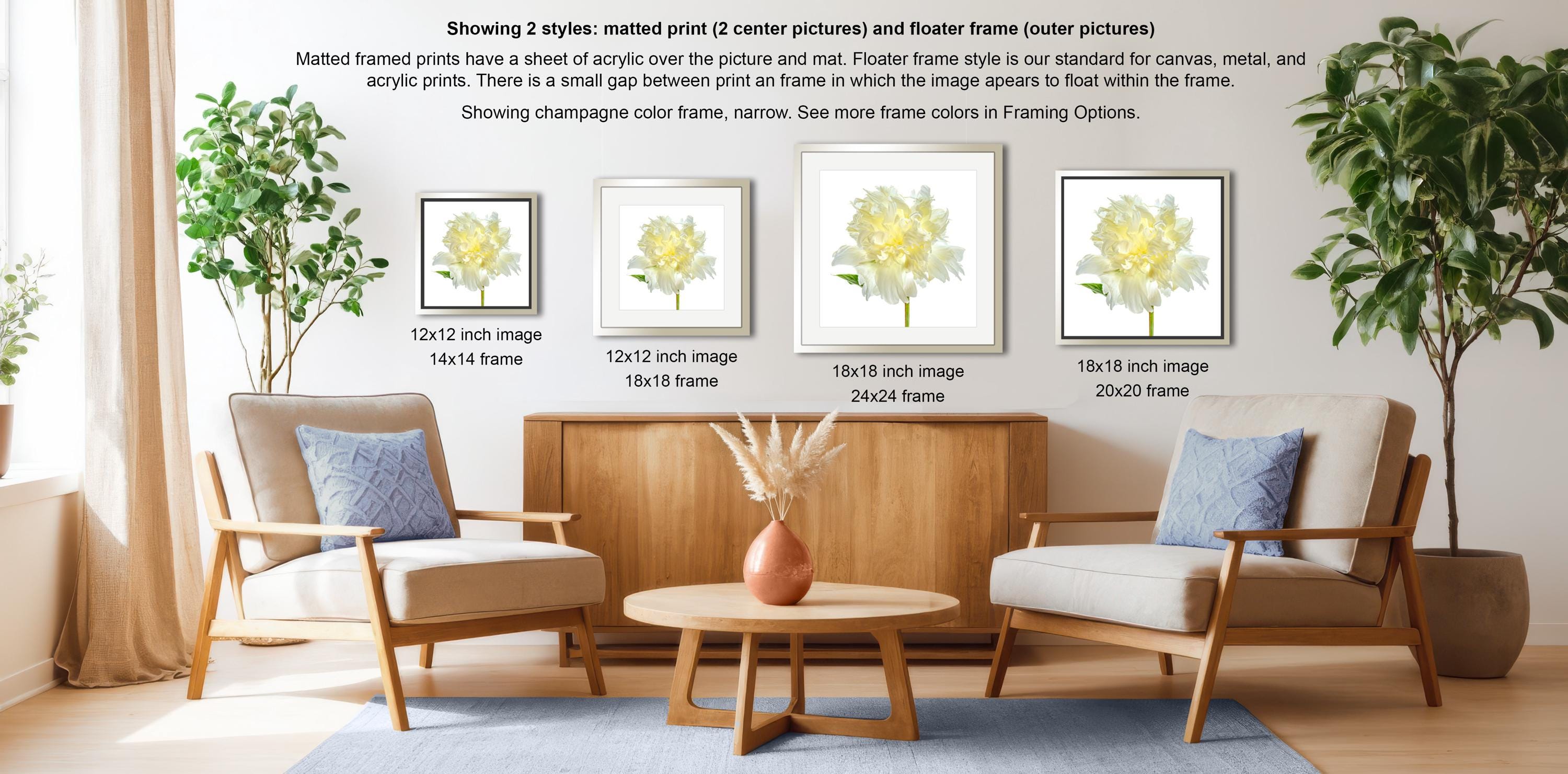 a living room with three framed pictures of flowers on the wall, two of which are mat-framed and one of which is a flat-framed print. The room is decorated with potted plants and a wooden coffee table, creating a cozy and inviting atmosphere.