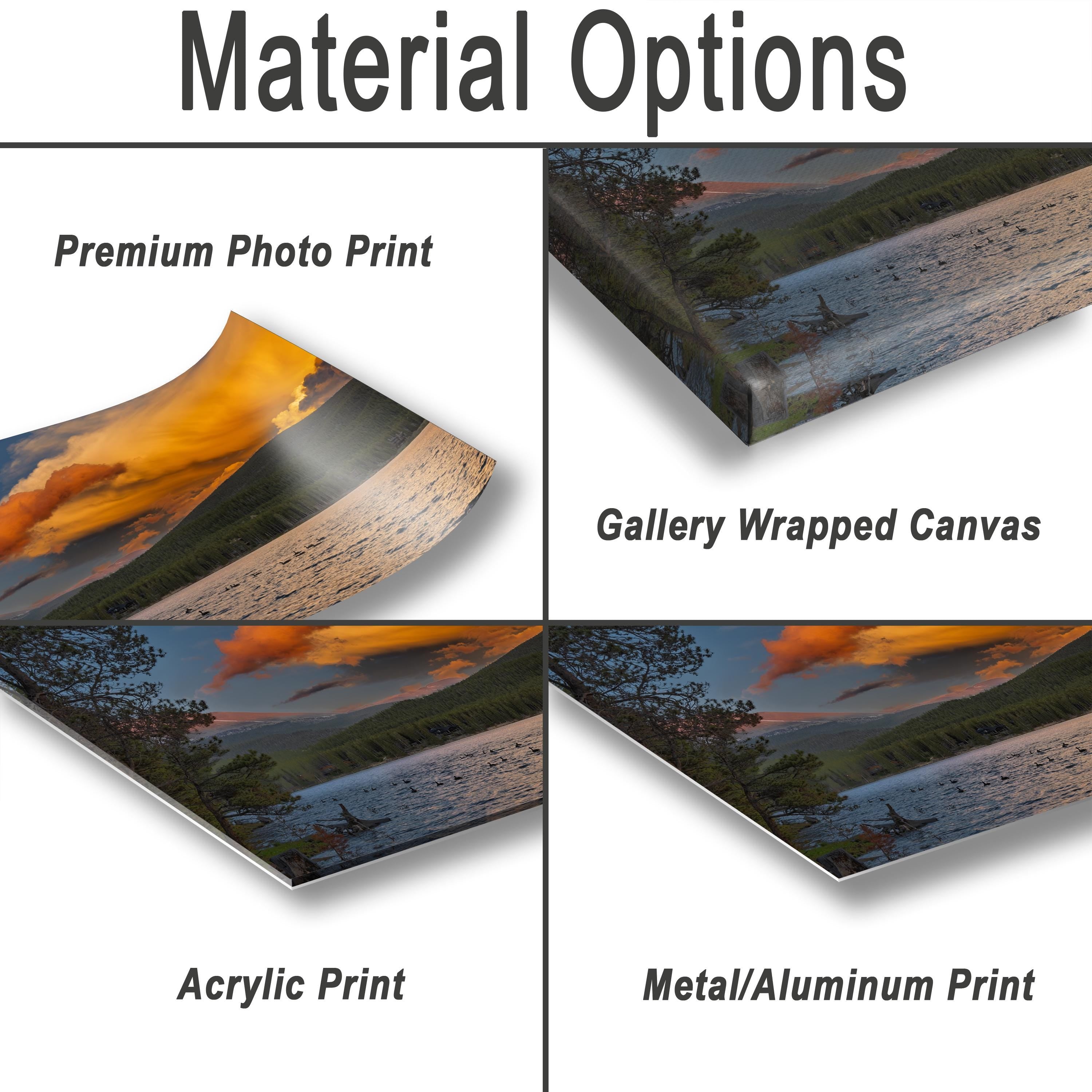 various types of printed materials, including a premium photo print, a gallery wrapped canvas, an acrylic print, and a metal/aluminum print.