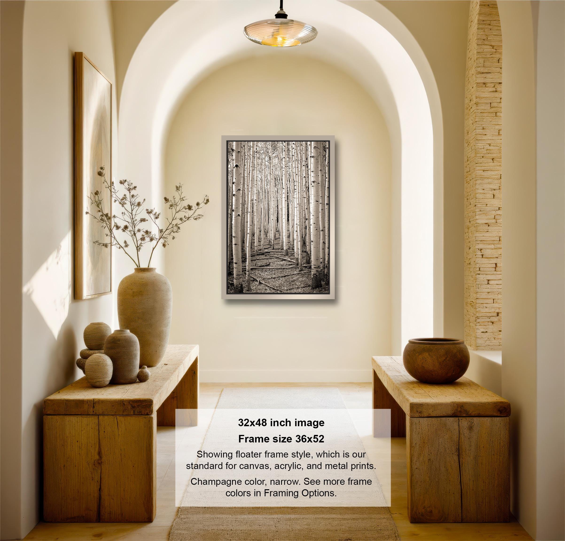 The image is a 32x48-inch framed photograph of a forest, featuring a black and white image of a path through the trees. The frame is 36x42 inches in size and is showing a flatter frame style, which is the standard for canvas, acrylic, and metal prints. The frame colors are limited to the colors of the frame, and the frame is available in various colors.