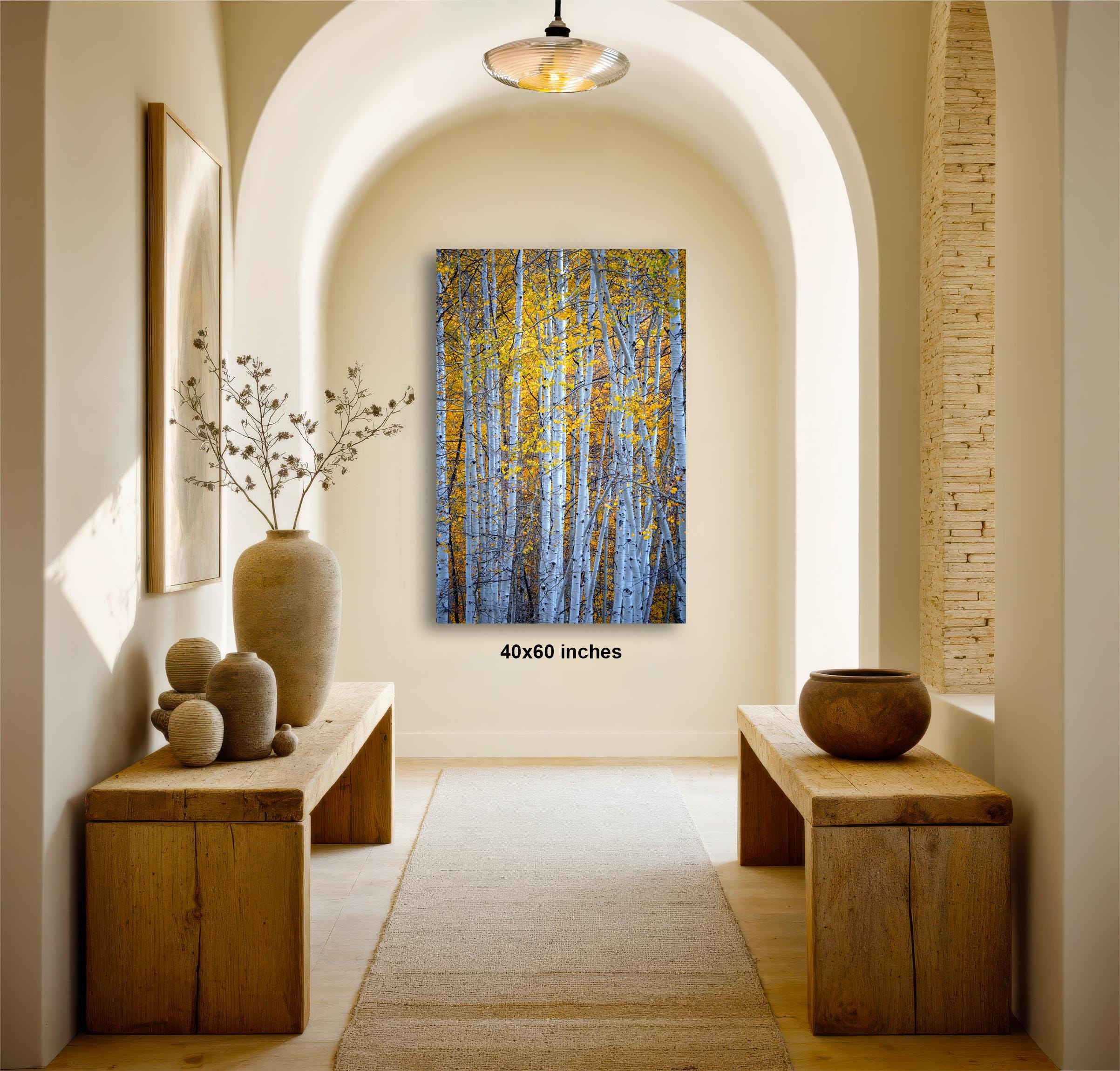 a hallway with a large painting of a forest scene hanging on the wall. The painting is framed in a square format and measures 4060 inches in height. The hallway features wooden benches and tables, as well as decorative elements such as vases and a potted plant. The overall atmosphere of the scene is serene and natural, with the painting serving as a focal point in the space.