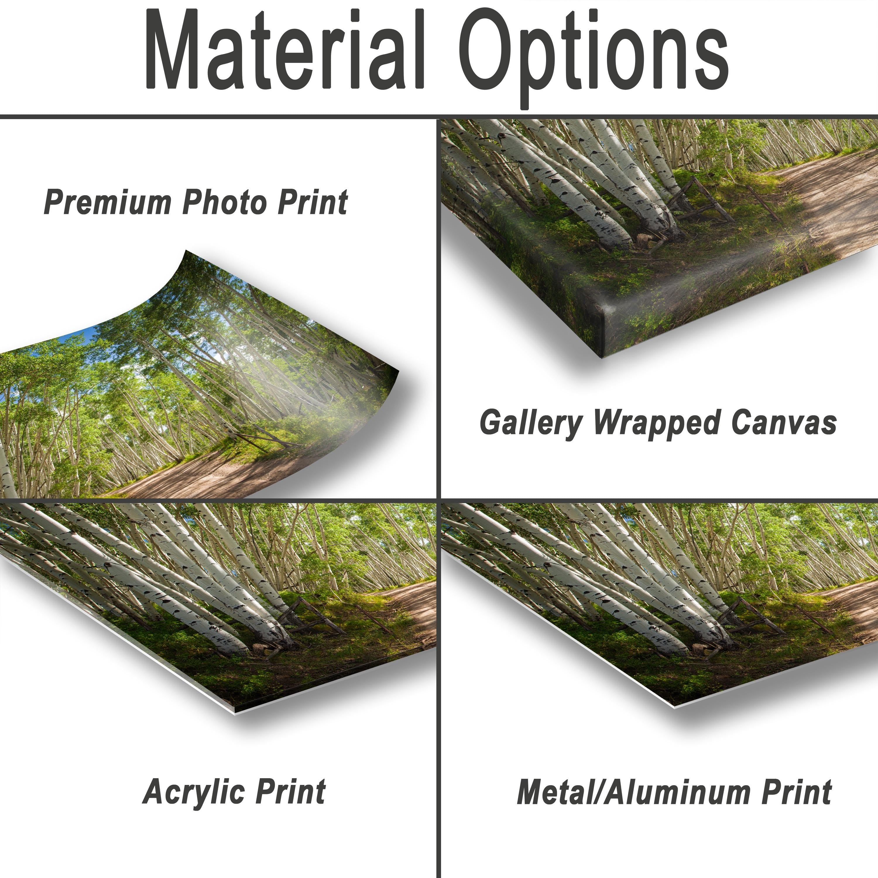 The image is a collage of four different types of print materials, including a premium photo print, a gallery wrapped canvas, an acrylic print, and a metal/aluminum print.