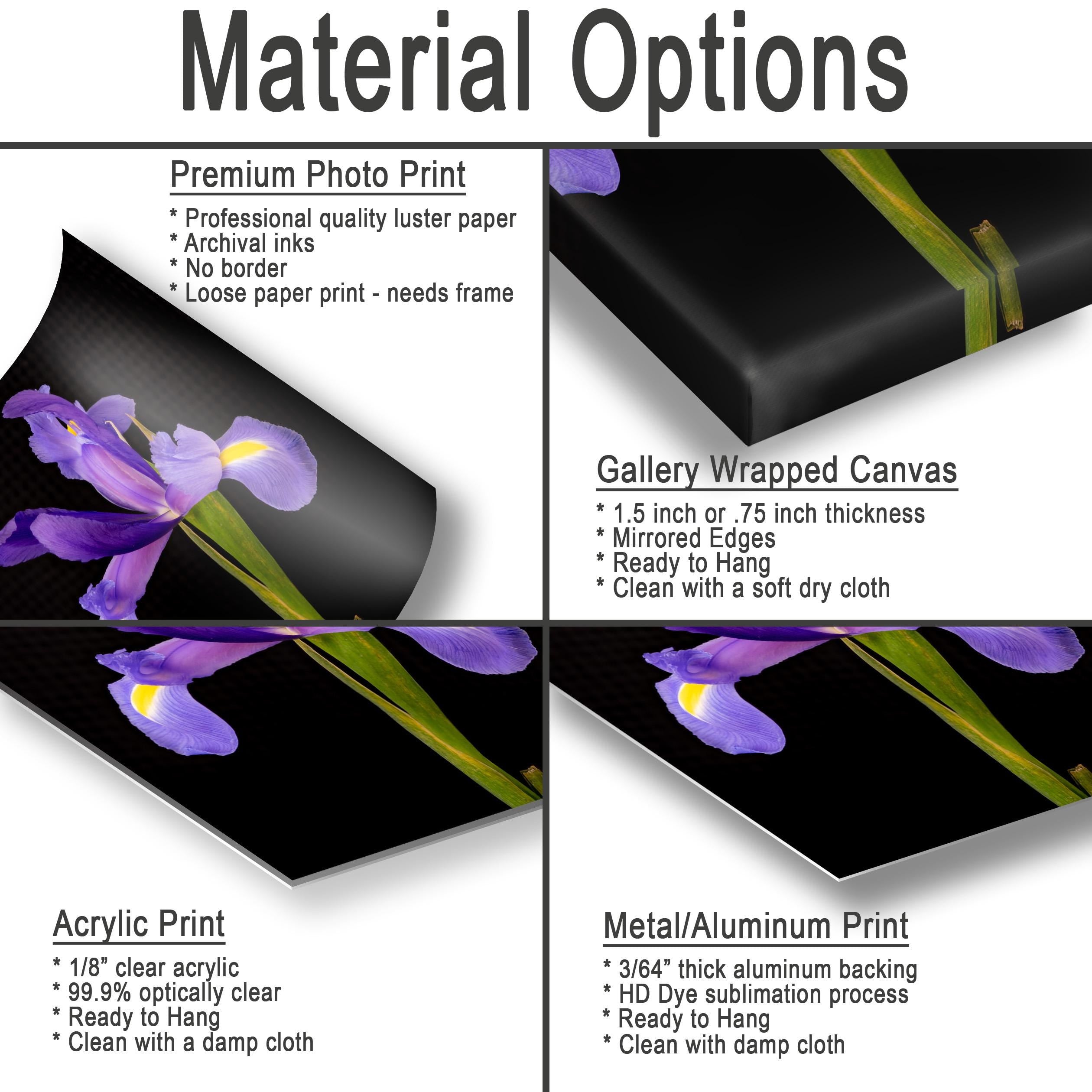 Material Options