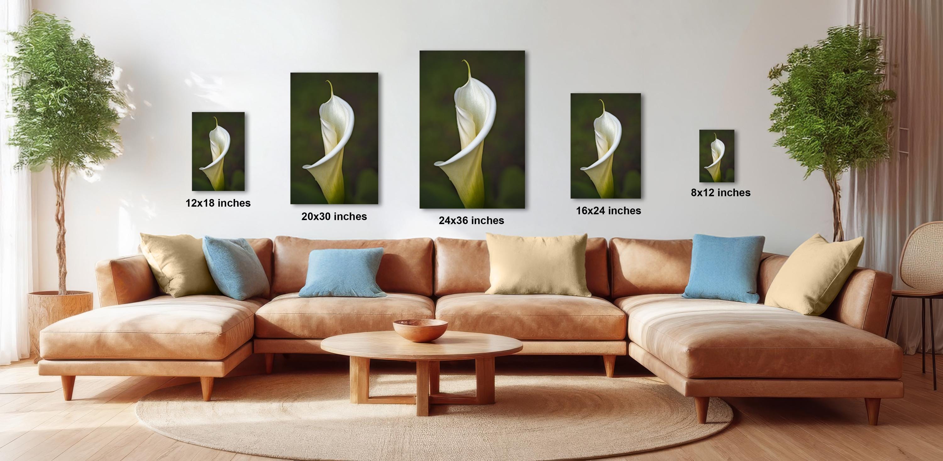 a modern living room with a large sectional sofa, a coffee table, and several potted plants. The sofa is positioned in front of a wall with framed images of white lilies, each with a different size and resolution. The room has a clean and minimalist design, with a focus on the comfortable seating and the natural elements from the plants.