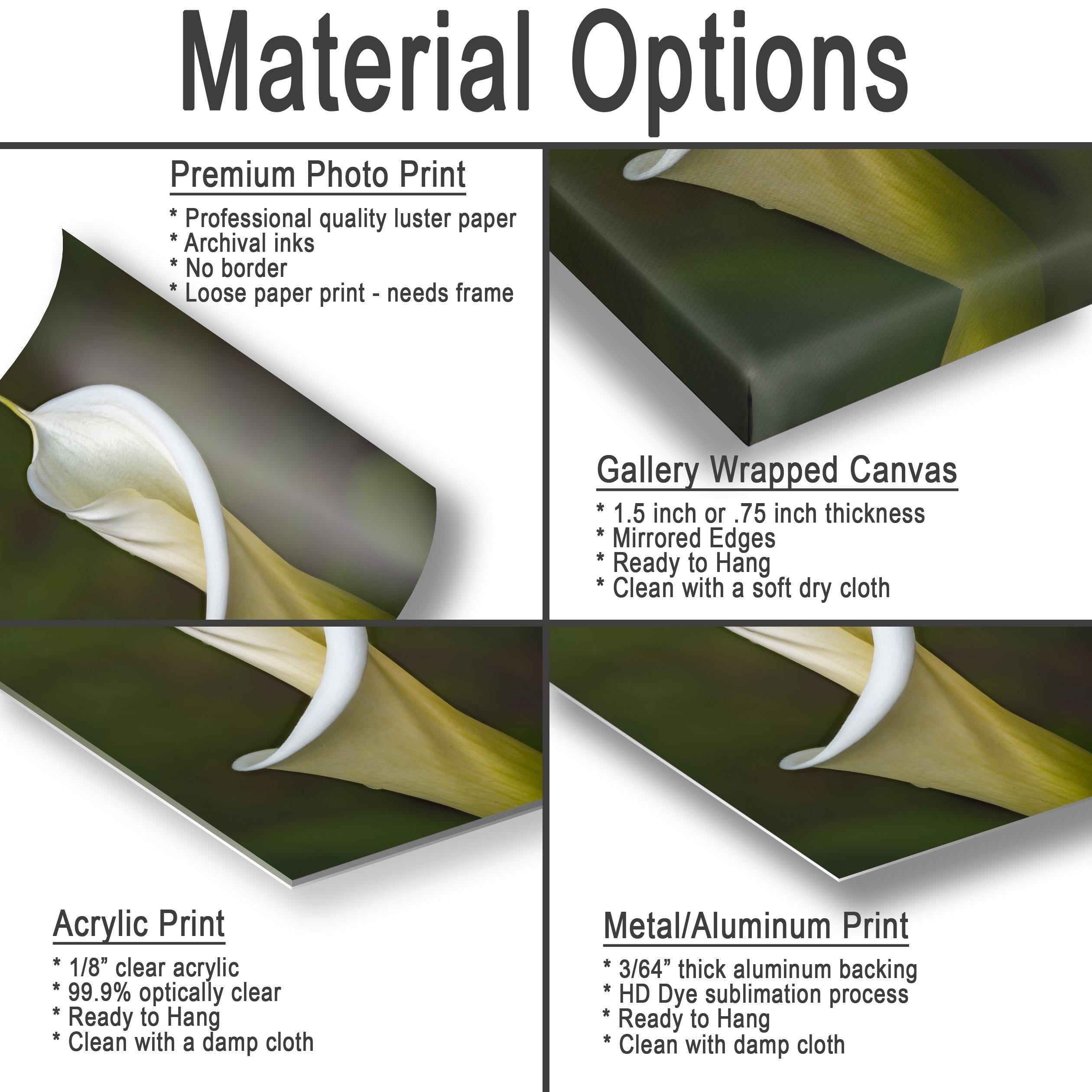 The image is a collage of four different types of printed materials, including a premium photo print, a gallery wrapped canvas, an acrylic print, and a metal/aluminum print. Each type of print has its own unique characteristics and uses.