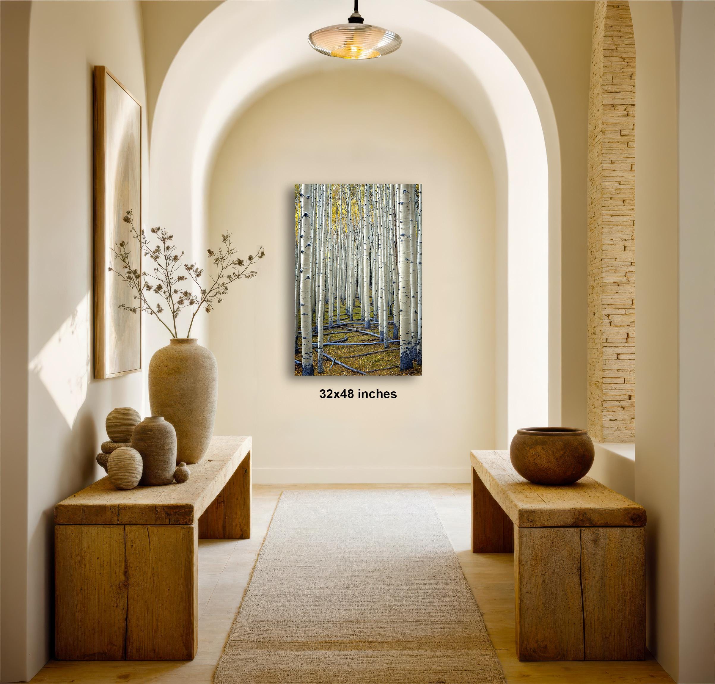 a hallway with a wooden floor, arched doorways, and a painting of a forest scene hanging on the wall.