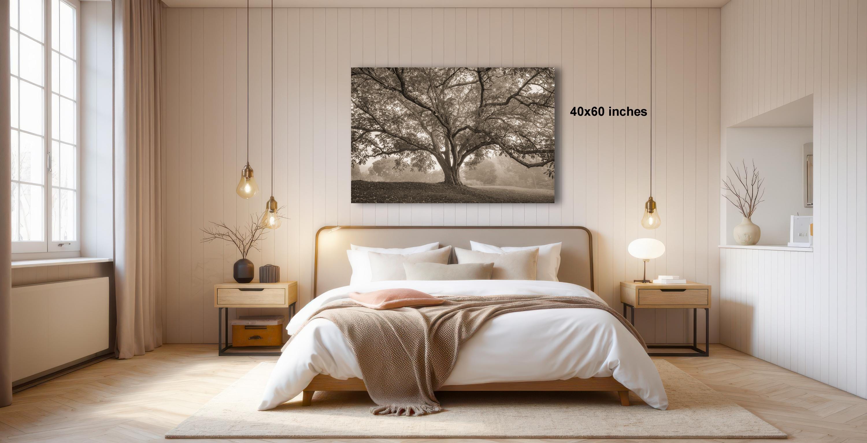 a serene bedroom with a large bed, wooden furniture, and a large window that allows natural light to fill the space. Above the bed, there is a framed photograph of a tree, adding a touch of nature to the room. The room has a minimalist and modern design, with a neutral color palette and clean lines.