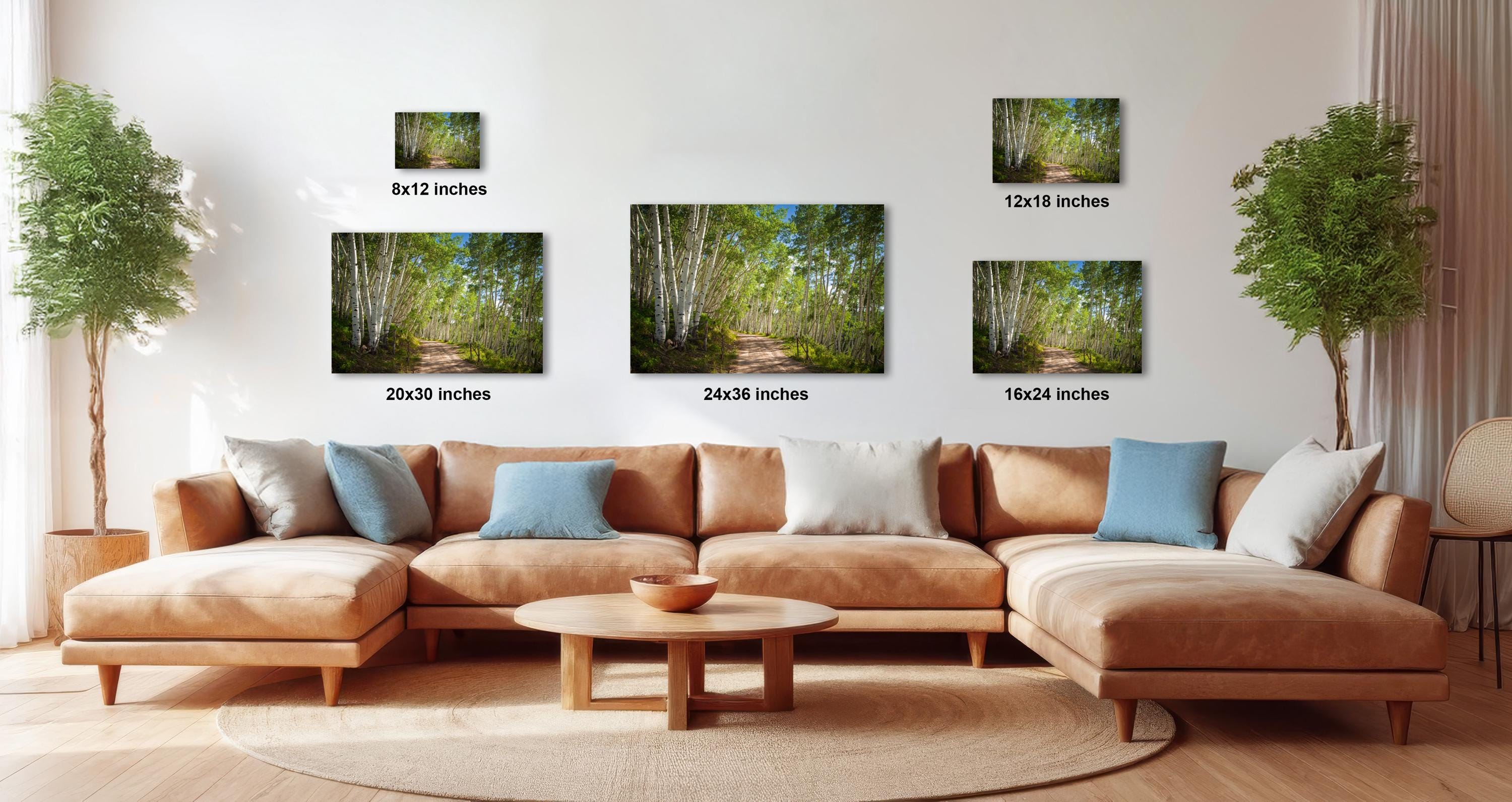 The image is a modern living room with a large sectional sofa, a coffee table, and several potted plants. The wall behind the sofa is decorated with three framed landscape photographs, each varying in size and resolution. The photographs depict different scenes, including a forest path and a wooded area. The arrangement of the photographs and the overall composition of the room create a harmonious and visually appealing space.