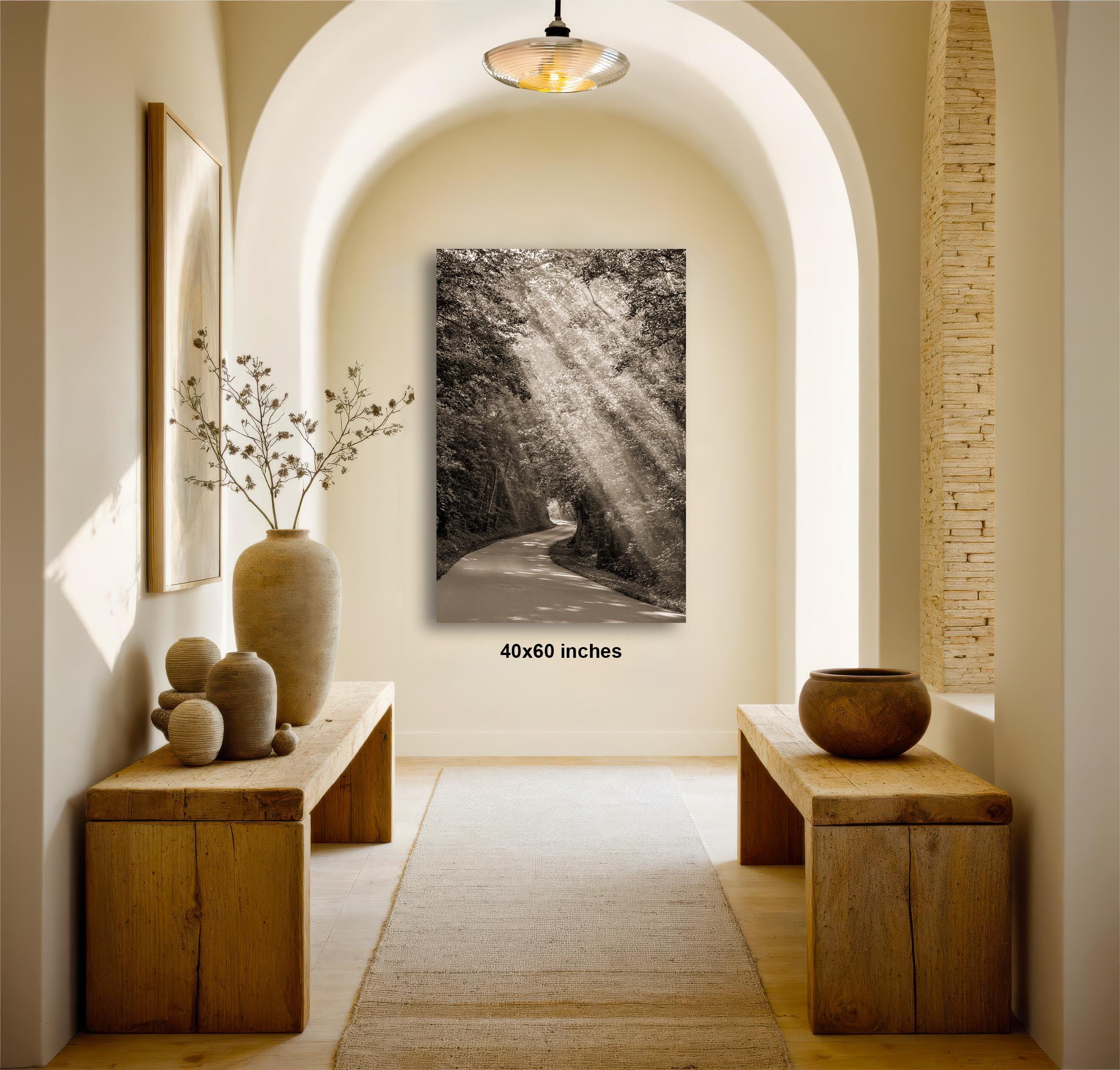 a hallway with a large black and white photograph of a winding road with sunlight streaming through the trees on the wall.