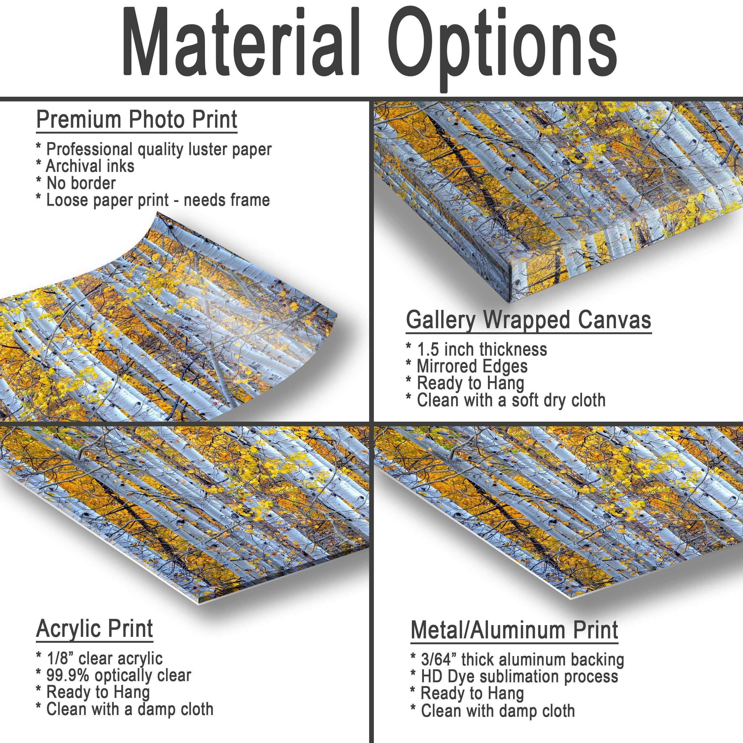 The image is a collage of four different material options for prints, including premium photo print, gallery wrapped canvas, acrylic print, and metal/aluminum print.