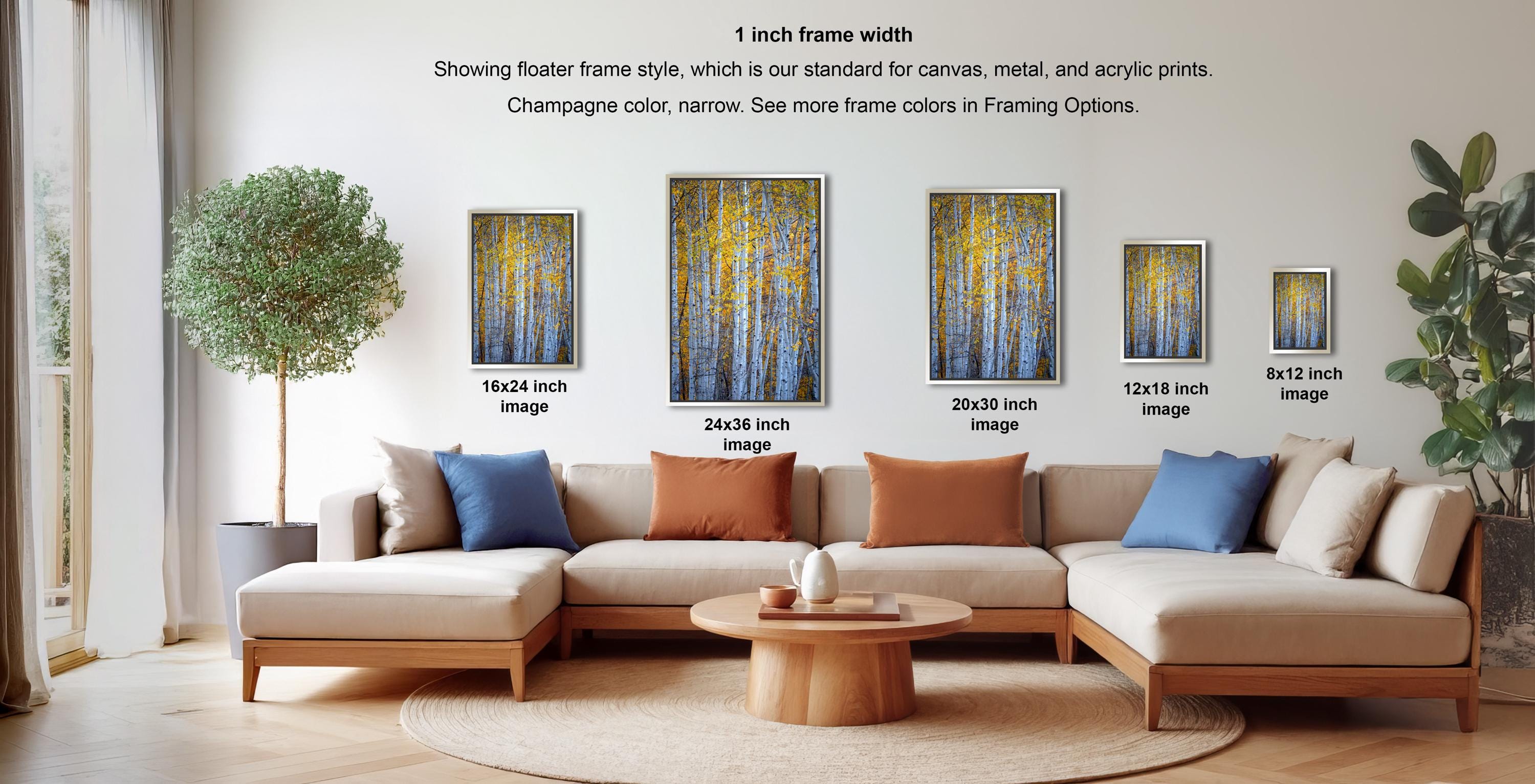 a modern living room with a large sectional sofa, a coffee table, and a potted plant. The sofa is positioned in front of a wall with four framed paintings of trees, each varying in size and frame style. The paintings are arranged in a grid-like pattern, creating a visually appealing display.
