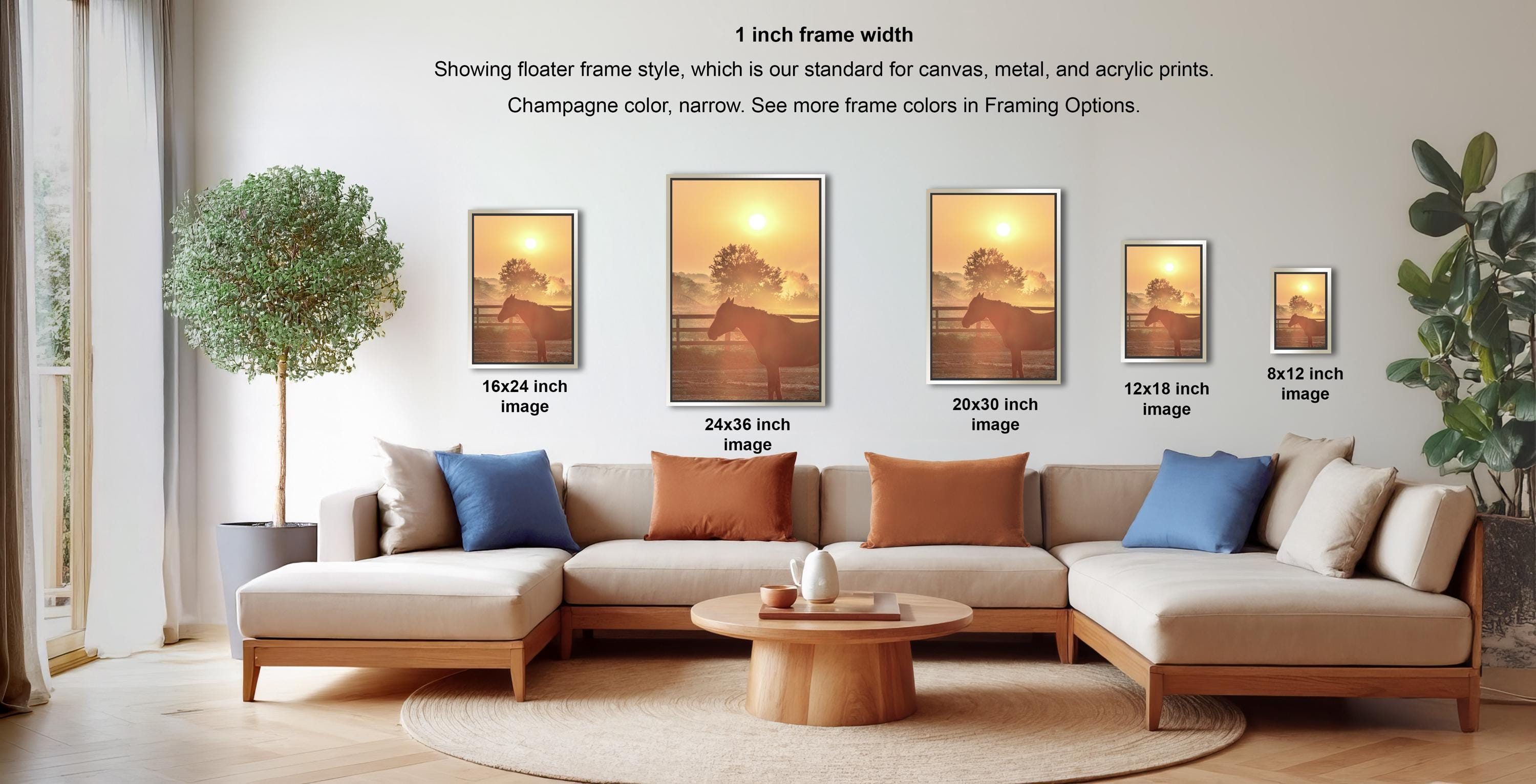 a living room with a large sectional sofa, a coffee table, and a potted plant. There are four framed prints displayed on the wall, each with a different size and frame style, including a 1-inch frame width.
