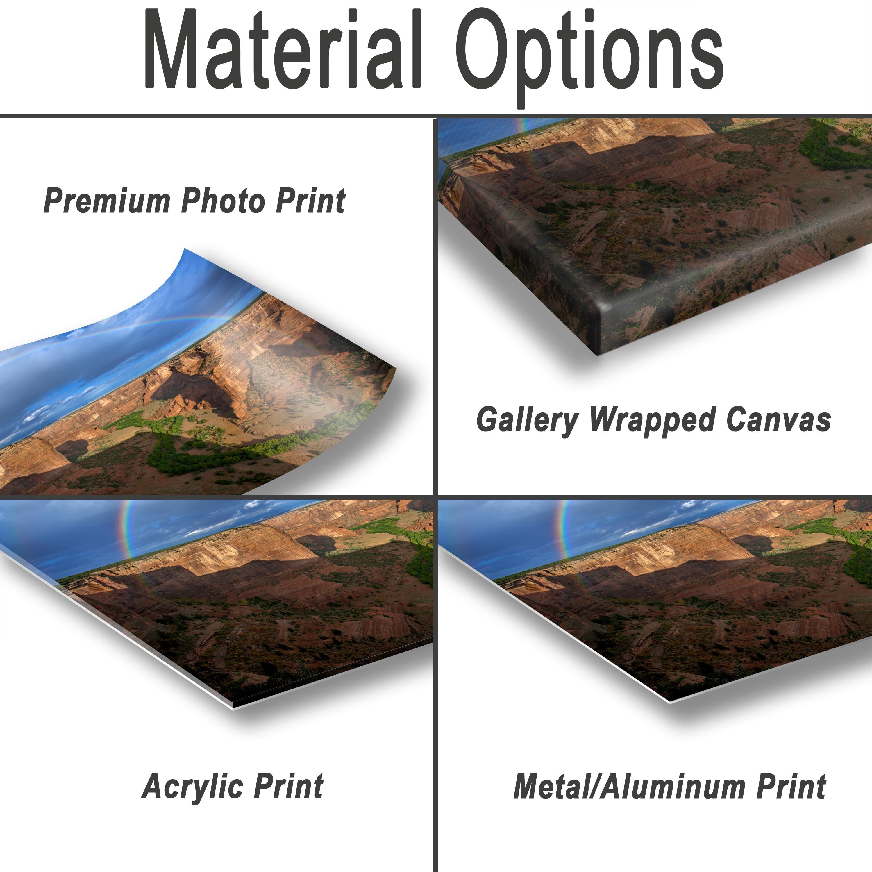 various types of printed materials, including a premium photo print, a gallery wrapped canvas, an acrylic print, and a metal/aluminum print.