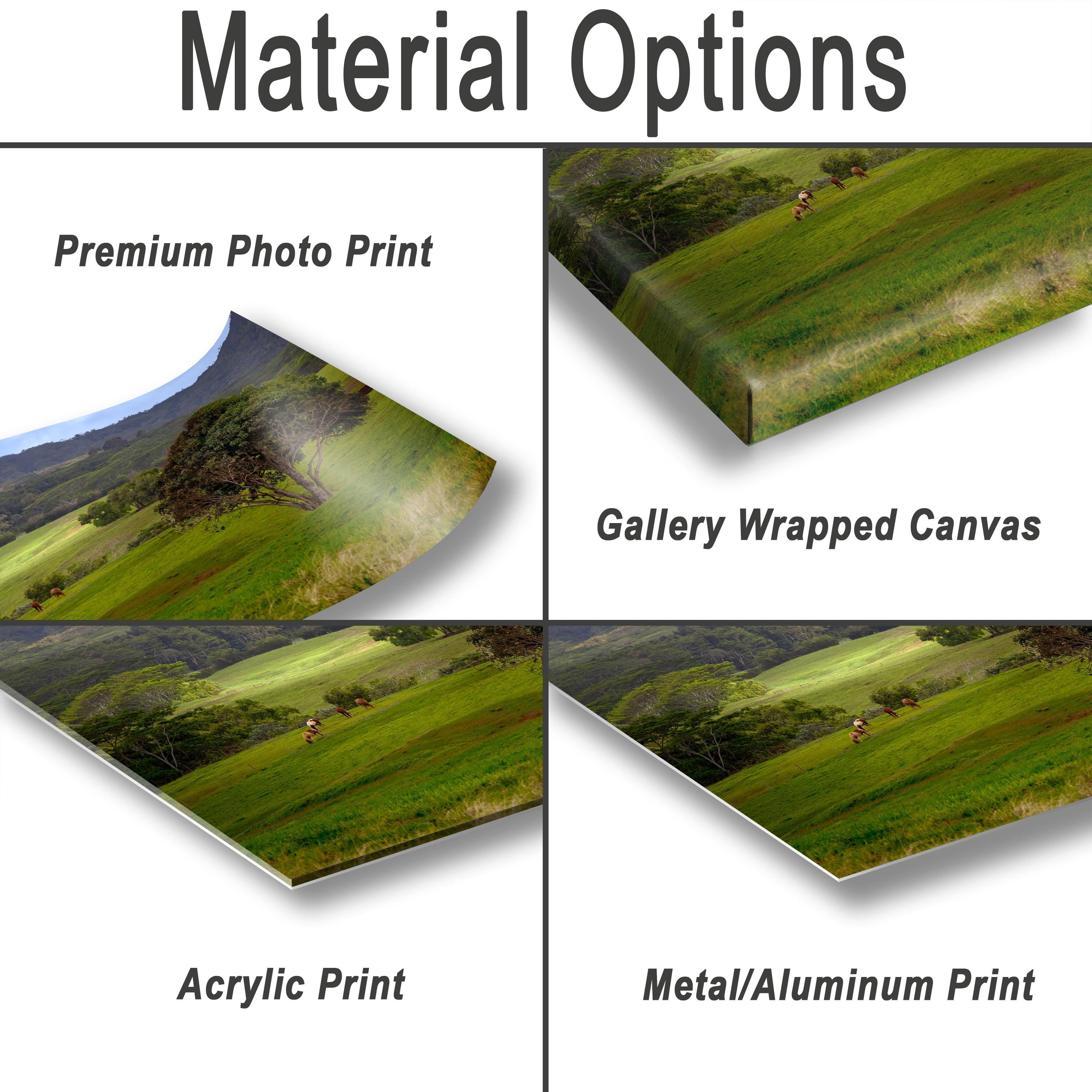 The image is a collage of four different types of print options for a landscape photograph, including a premium photo print, a gallery wrapped canvas, an acrylic print, and a metal/aluminum print.