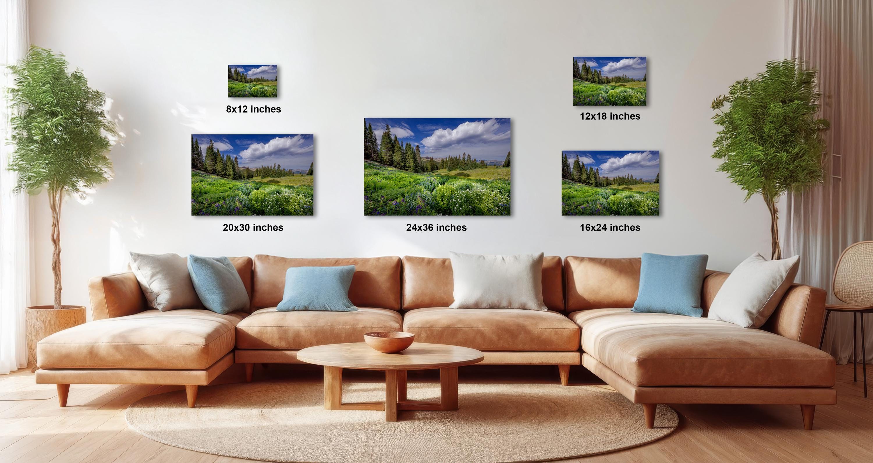 a large, brown sectional sofa with multiple pillows, a wooden coffee table, and a potted plant in the background. Above the sofa, there are three framed landscape photographs of varying sizes, each depicting a different scene. The photographs are arranged in a row on the wall, with the largest one being 24 inches in height and the smallest one being 12 inches in height.