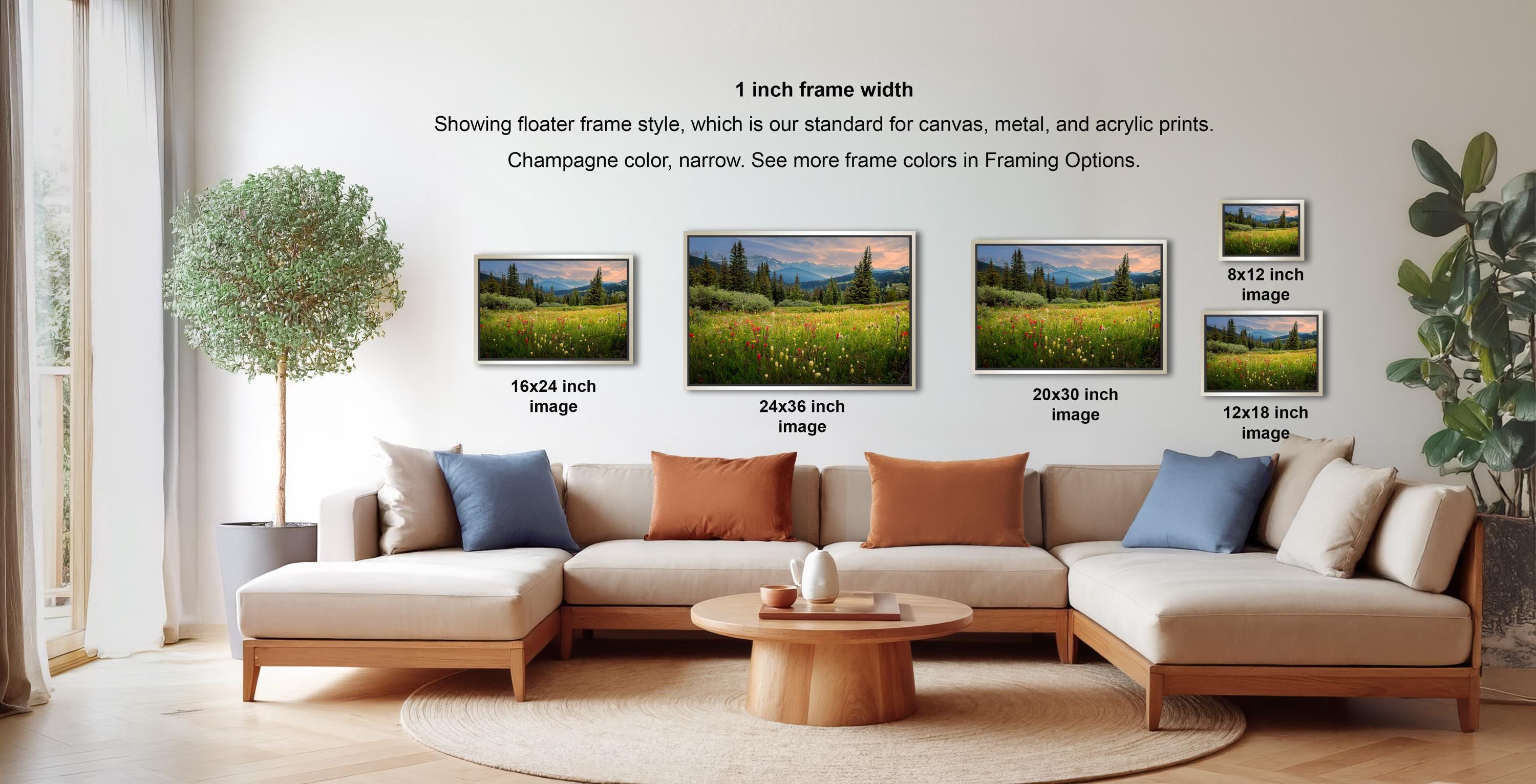 a living room with a large sectional sofa, a coffee table, and a potted plant. There are three framed landscape paintings displayed on the wall, each with a different frame size ranging from 16" to 20" inches. The text on the wall indicates that the frame width is 1 inch, and the paintings are showing floating frame style, which is a standard for canvas, metal, and acrylic prints.