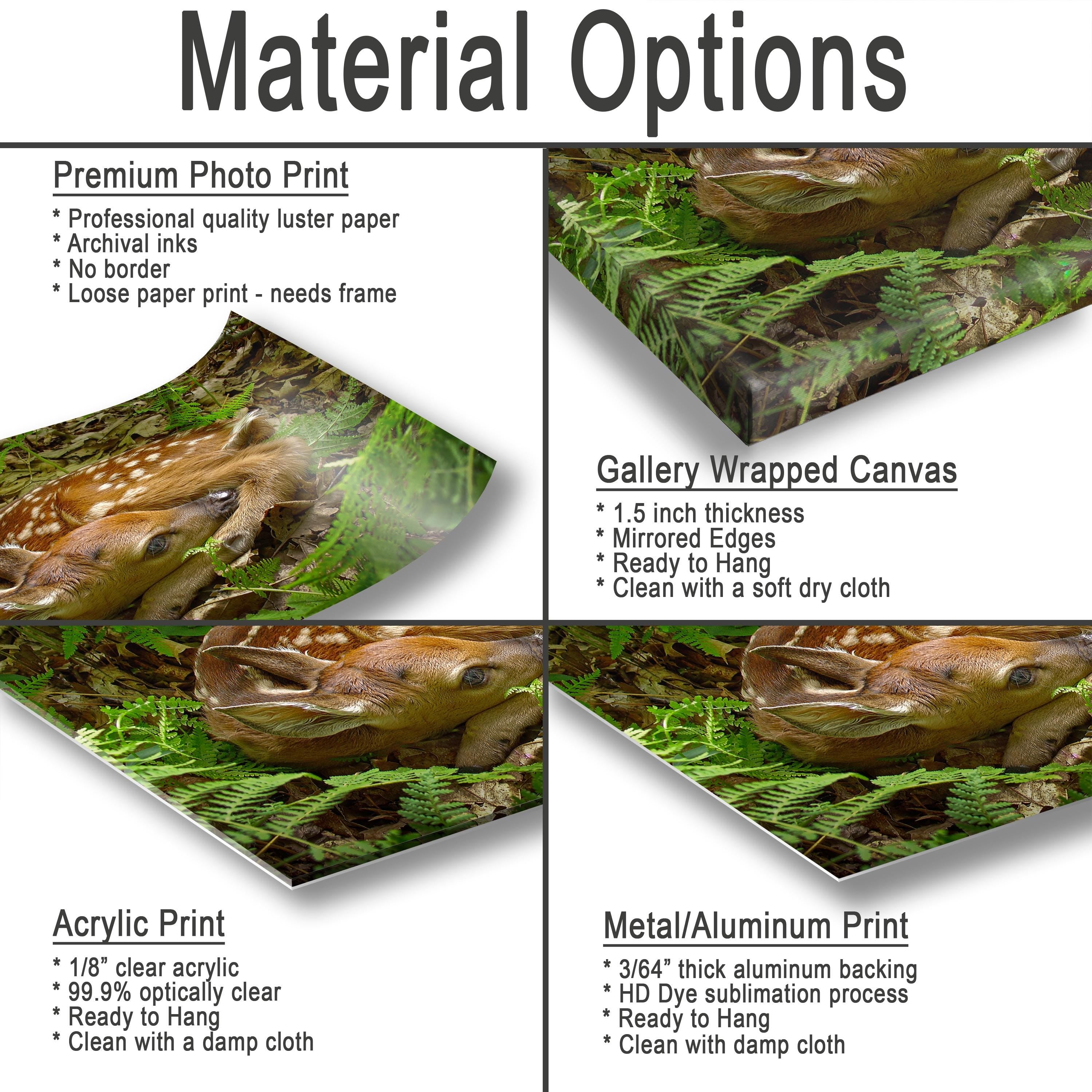 Material Options