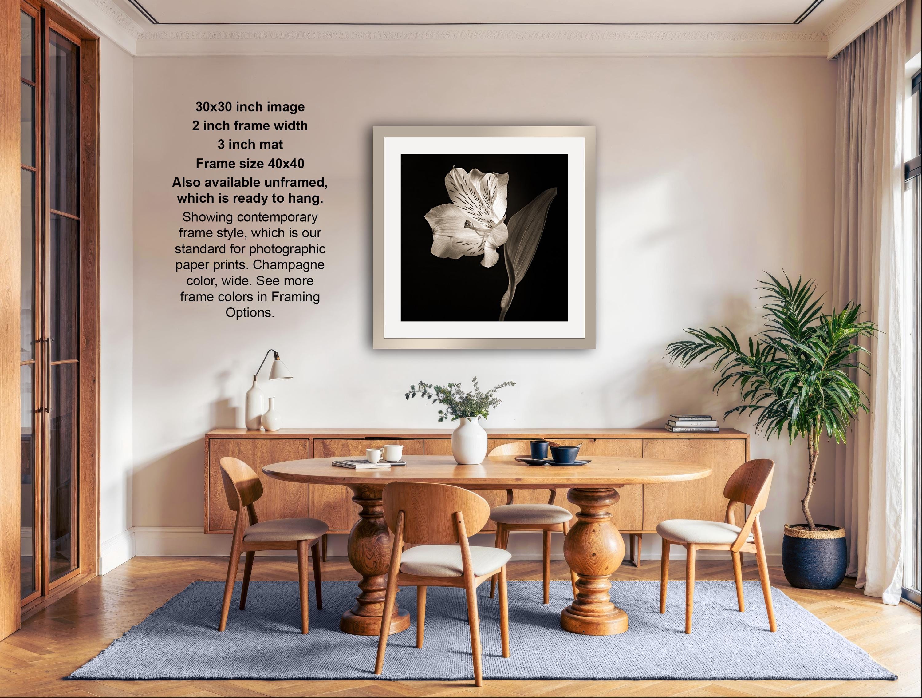 The image is a modern dining room with a wooden table and chairs, a potted plant, and a framed photograph of a white flower hanging on the wall.