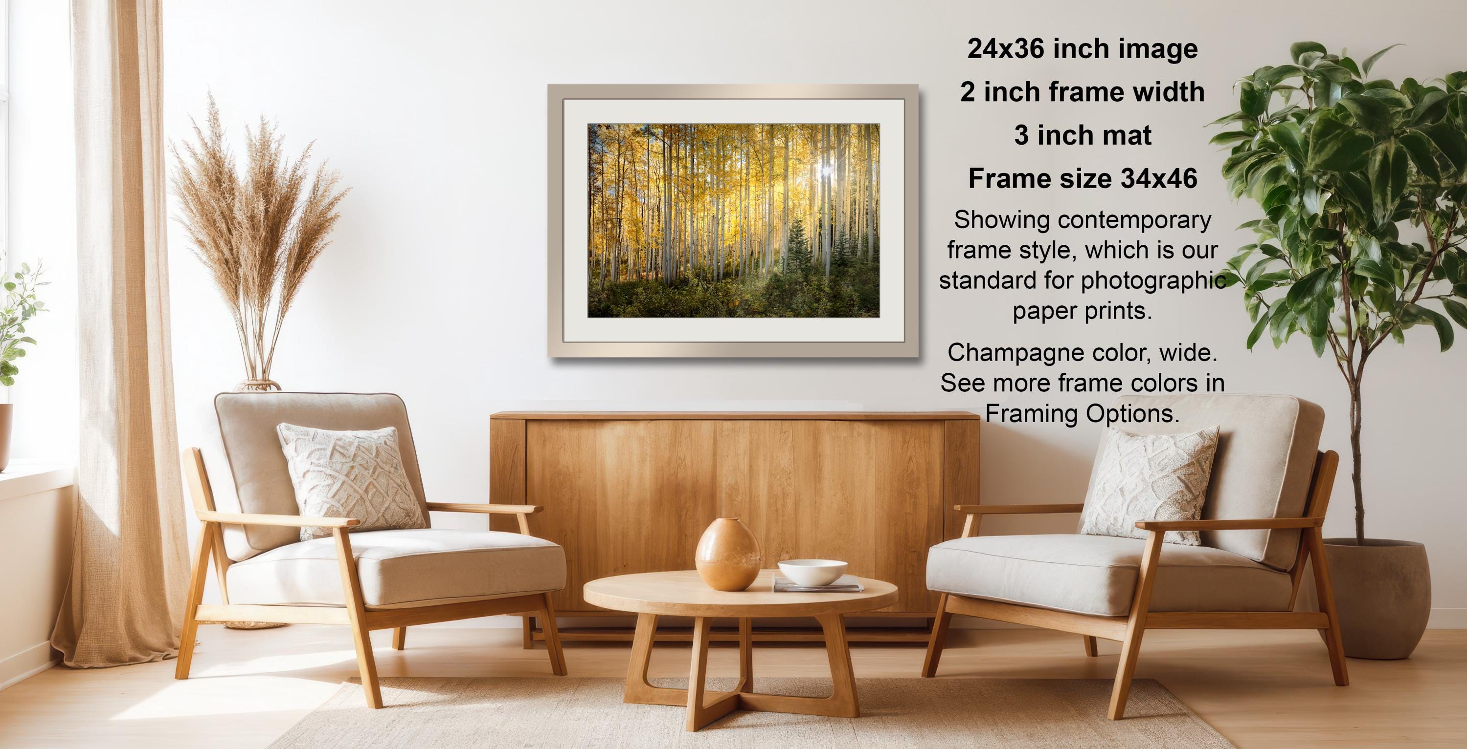 a cozy living room with a wooden coffee table, two beige armchairs, and a framed photograph of a forest scene hanging on the wall.