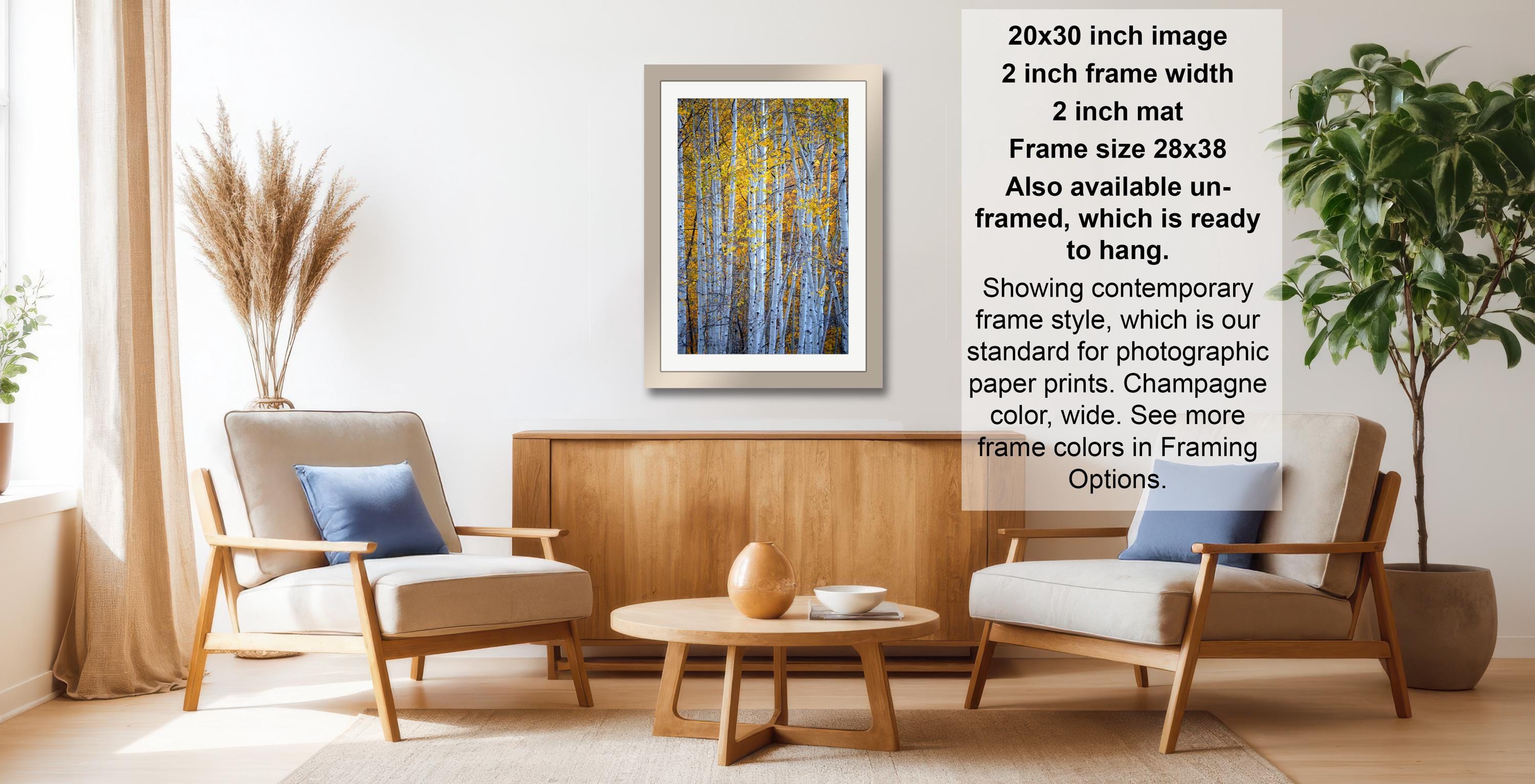 a living room with a framed picture of a forest scene hanging on the wall. The room has two armchairs, a coffee table, and a potted plant, creating a cozy and inviting atmosphere.